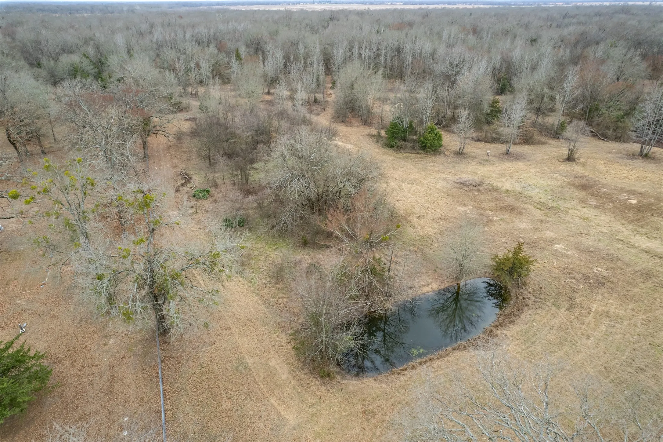 Improved Land For Sale in Franklin (TX) County , 139 NW County Road 1061, Talco, Texas 75487, 0, 0, Garage spaces, 0 Sqft, built in 0, mls#21180247, Real Estate Agent in Talco, Homes For Sale in Franklin (TX) county, Homes For Sale in Talco, Realtor in Talco Texas, Real Estate Brokerage Independent Realty Texas, Luminita Cordes Realtor