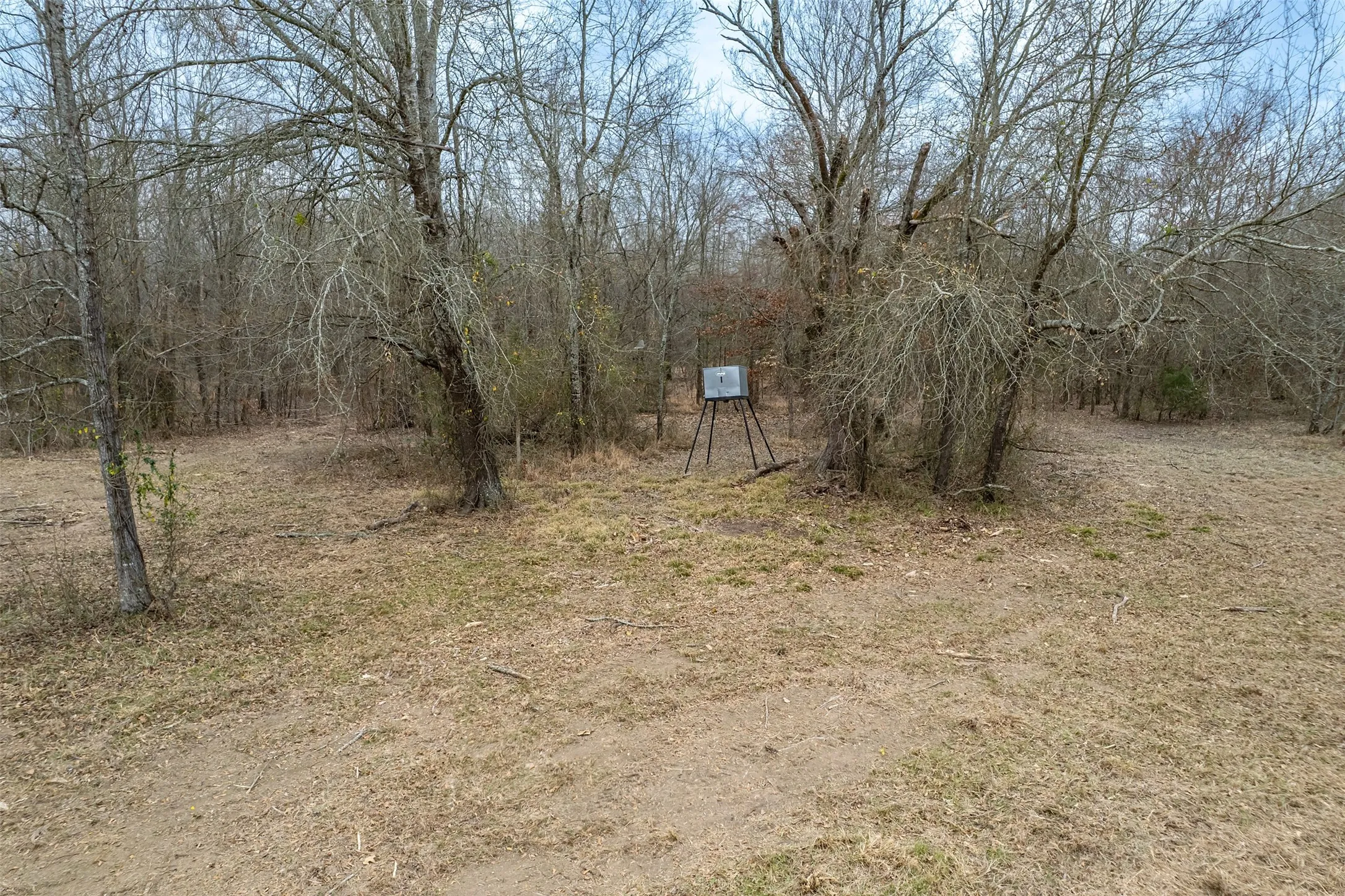 Improved Land For Sale in Franklin (TX) County , 139 NW County Road 1061, Talco, Texas 75487, 0, 0, Garage spaces, 0 Sqft, built in 0, mls#21180247, Real Estate Agent in Talco, Homes For Sale in Franklin (TX) county, Homes For Sale in Talco, Realtor in Talco Texas, Real Estate Brokerage Independent Realty Texas, Luminita Cordes Realtor
