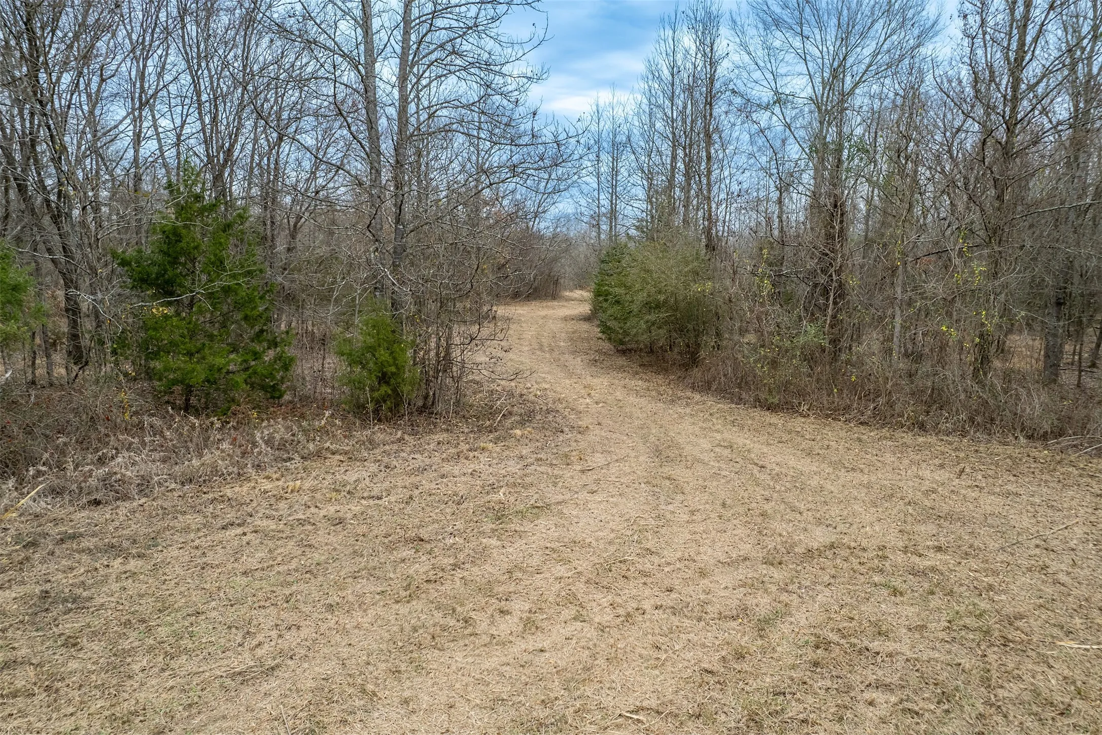 Improved Land For Sale in Franklin (TX) County , 139 NW County Road 1061, Talco, Texas 75487, 0, 0, Garage spaces, 0 Sqft, built in 0, mls#21180247, Real Estate Agent in Talco, Homes For Sale in Franklin (TX) county, Homes For Sale in Talco, Realtor in Talco Texas, Real Estate Brokerage Independent Realty Texas, Luminita Cordes Realtor