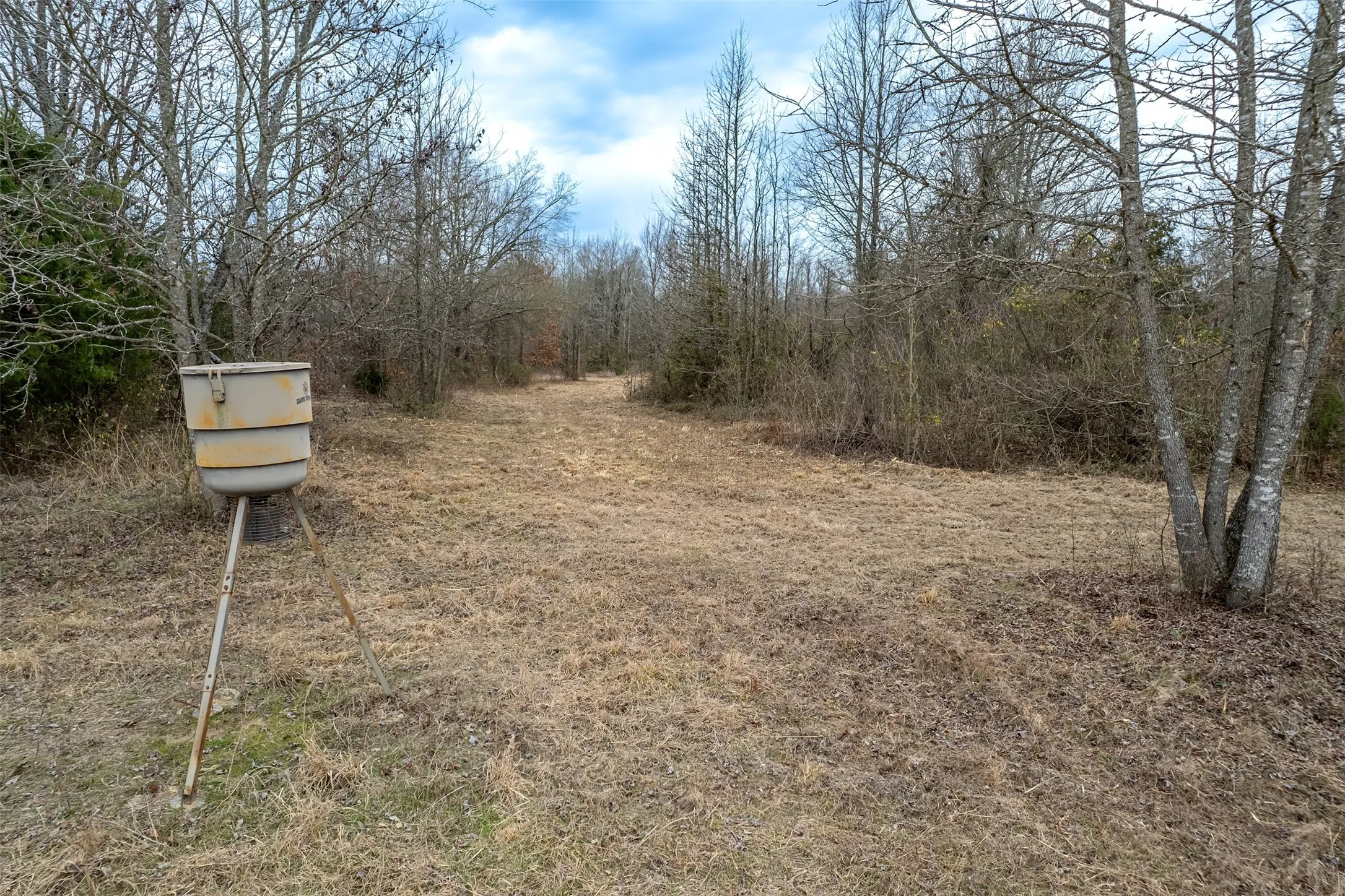 Improved Land For Sale in Franklin (TX) County , 139 NW County Road 1061, Talco, Texas 75487, 0, 0, Garage spaces, 0 Sqft, built in 0, mls#21180247, Real Estate Agent in Talco, Homes For Sale in Franklin (TX) county, Homes For Sale in Talco, Realtor in Talco Texas, Real Estate Brokerage Independent Realty Texas, Luminita Cordes Realtor