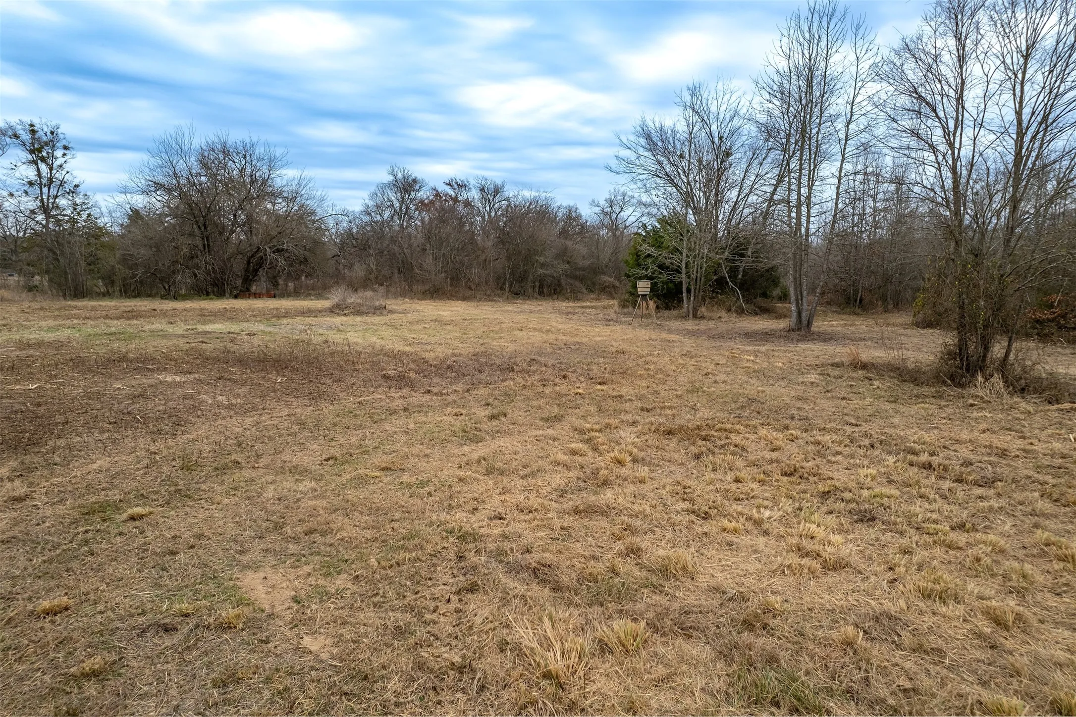 Improved Land For Sale in Franklin (TX) County , 139 NW County Road 1061, Talco, Texas 75487, 0, 0, Garage spaces, 0 Sqft, built in 0, mls#21180247, Real Estate Agent in Talco, Homes For Sale in Franklin (TX) county, Homes For Sale in Talco, Realtor in Talco Texas, Real Estate Brokerage Independent Realty Texas, Luminita Cordes Realtor
