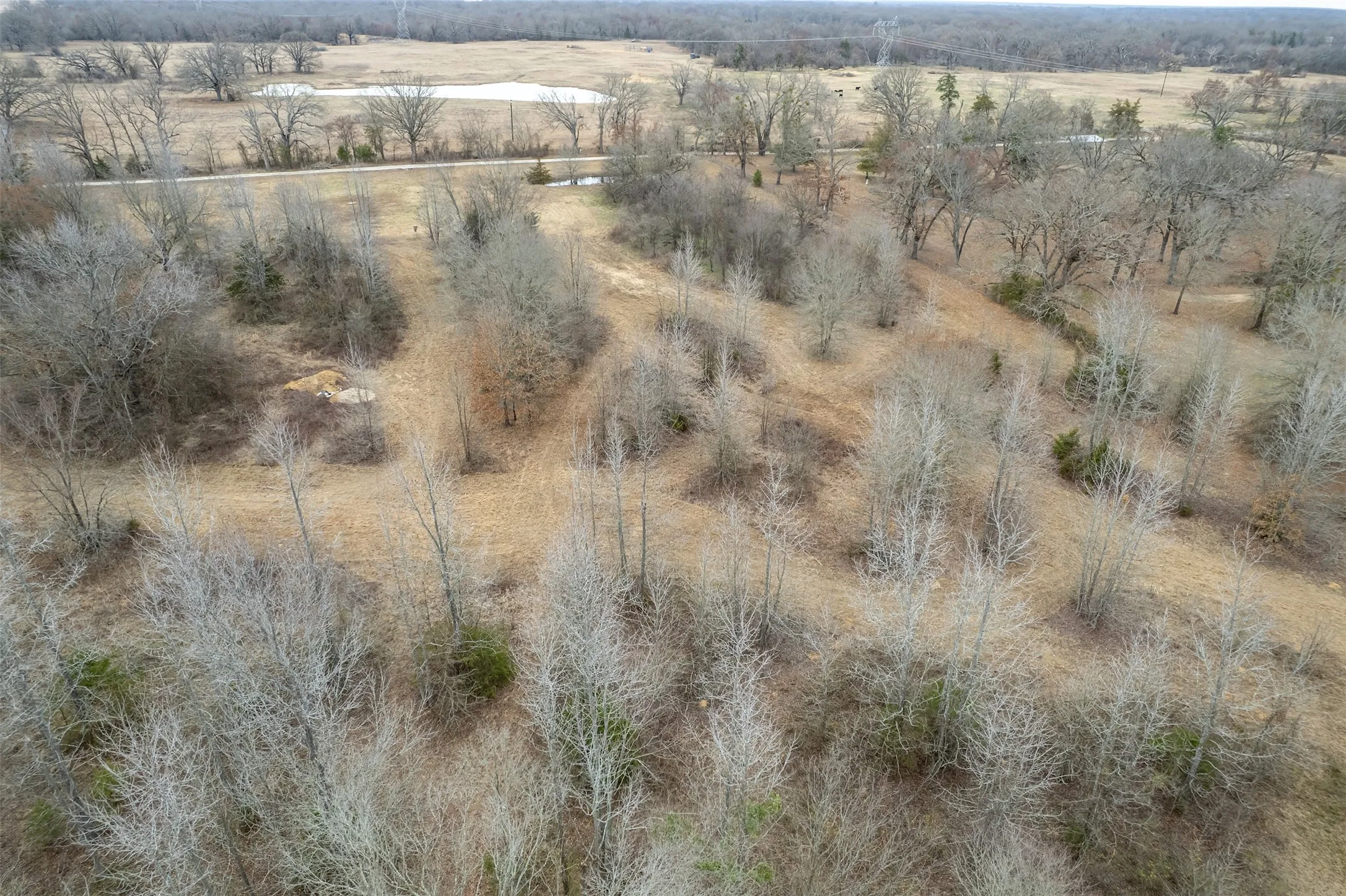Improved Land For Sale in Franklin (TX) County , 139 NW County Road 1061, Talco, Texas 75487, 0, 0, Garage spaces, 0 Sqft, built in 0, mls#21180247, Real Estate Agent in Talco, Homes For Sale in Franklin (TX) county, Homes For Sale in Talco, Realtor in Talco Texas, Real Estate Brokerage Independent Realty Texas, Luminita Cordes Realtor