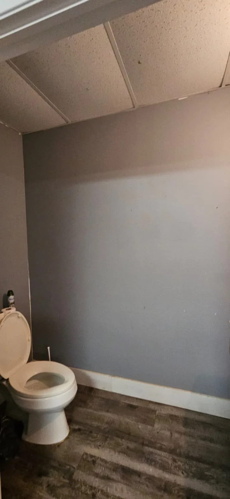 Bathroom featuring baseboards and dark wood finished floors