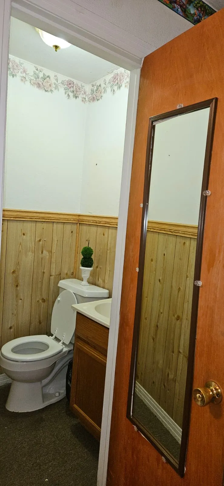 Half bathroom featuring wooden walls, vanity, and a wainscoted wall