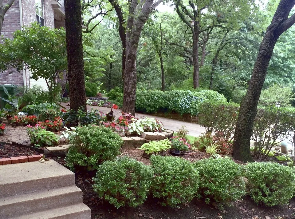 landscaped