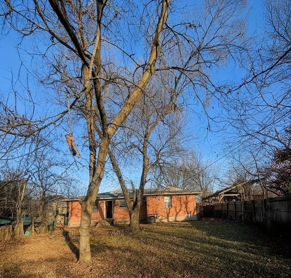 Large backyard