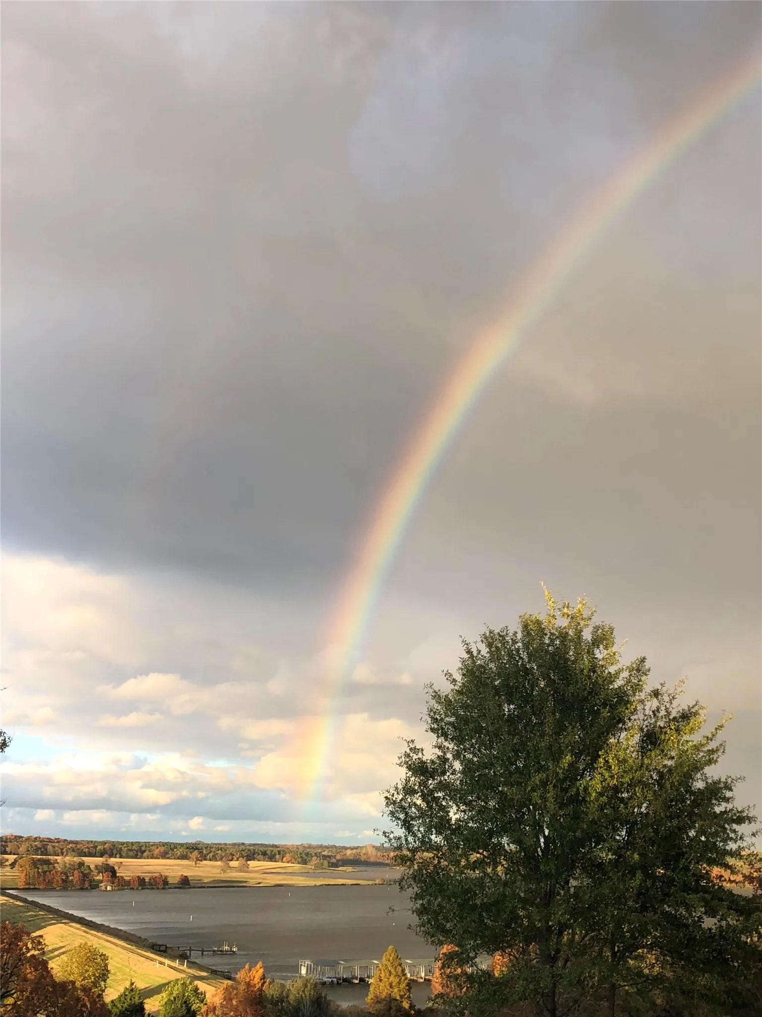 Unimproved Land For Sale in Henderson County , LOT 246 OVERLOOK Point, Athens, Texas 75752, 0, 0, Garage spaces, 0 Sqft, built in 0, Price $74,900, mls#21179024, Real Estate Agent in Athens, Homes For Sale in Henderson county, Homes For Sale in Athens, Realtor in Athens Texas, Real Estate Brokerage Independent Realty Texas, Luminita Cordes Realtor