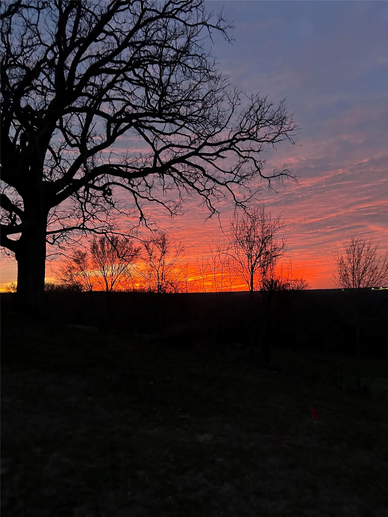 Unimproved Land For Sale in Henderson County , LOT 246 OVERLOOK Point, Athens, Texas 75752, 0, 0, Garage spaces, 0 Sqft, built in 0, Price $74,900, mls#21179024, Real Estate Agent in Athens, Homes For Sale in Henderson county, Homes For Sale in Athens, Realtor in Athens Texas, Real Estate Brokerage Independent Realty Texas, Luminita Cordes Realtor