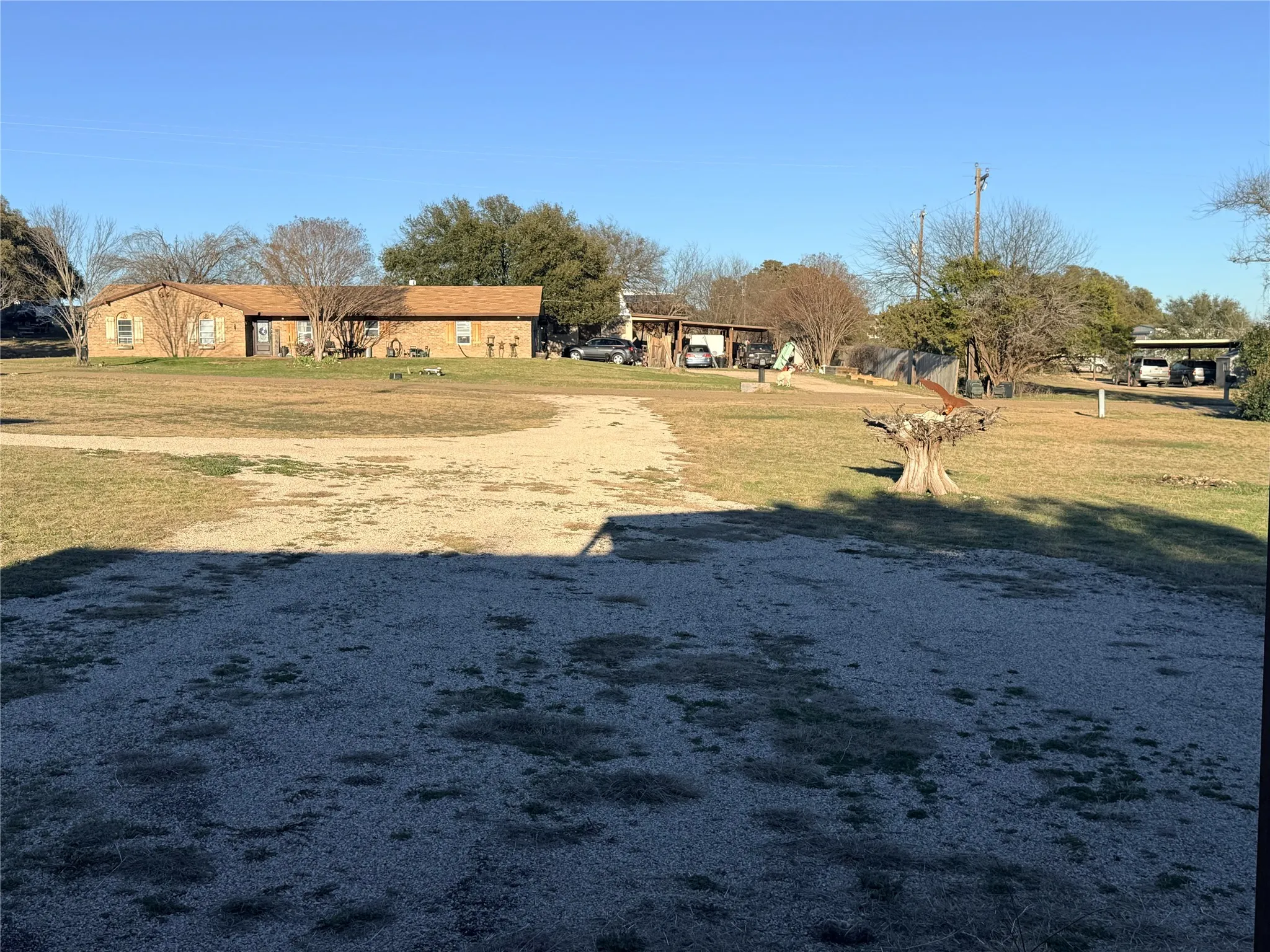 View of grassy yard