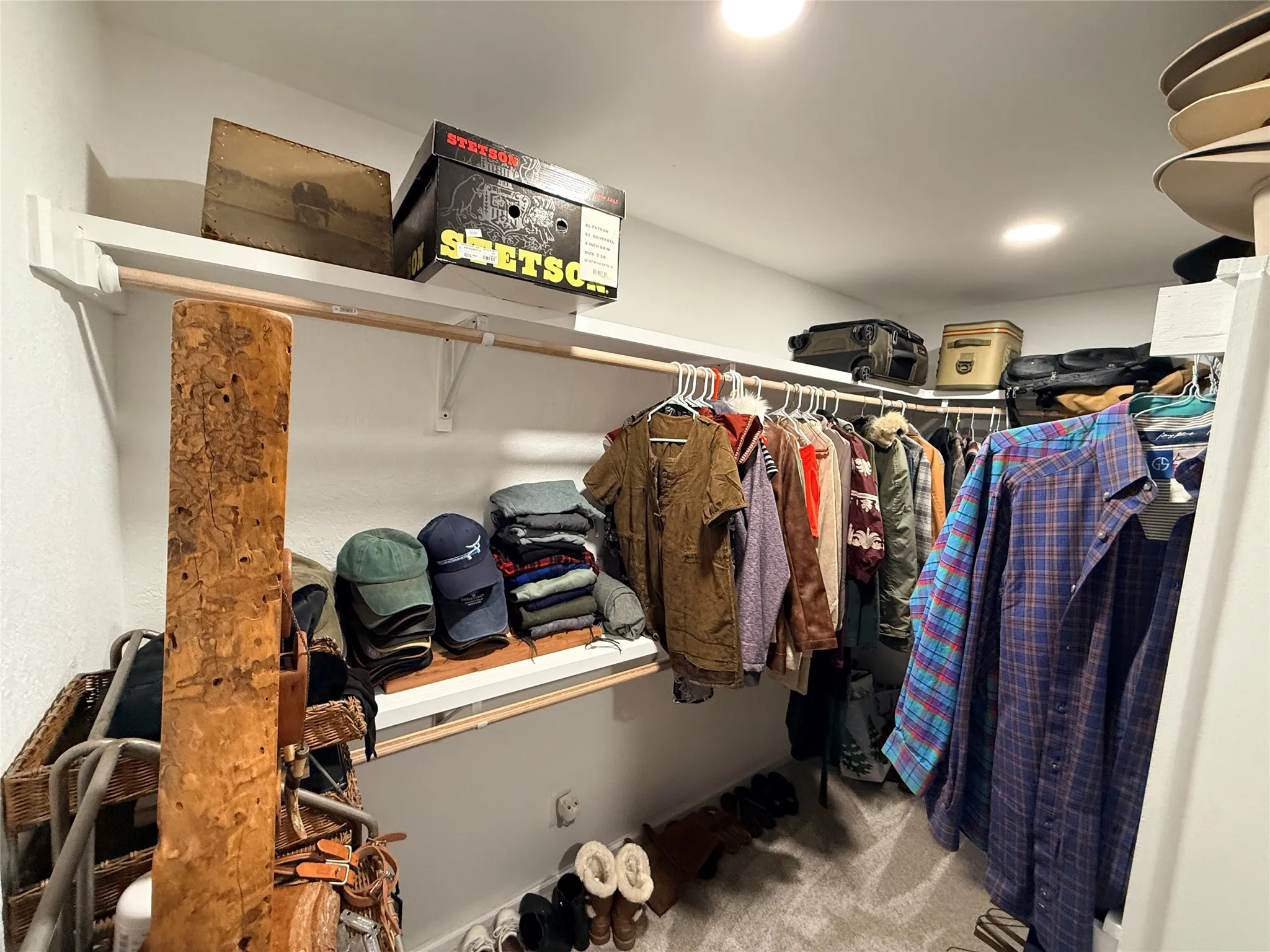 Walk in closet with light carpet