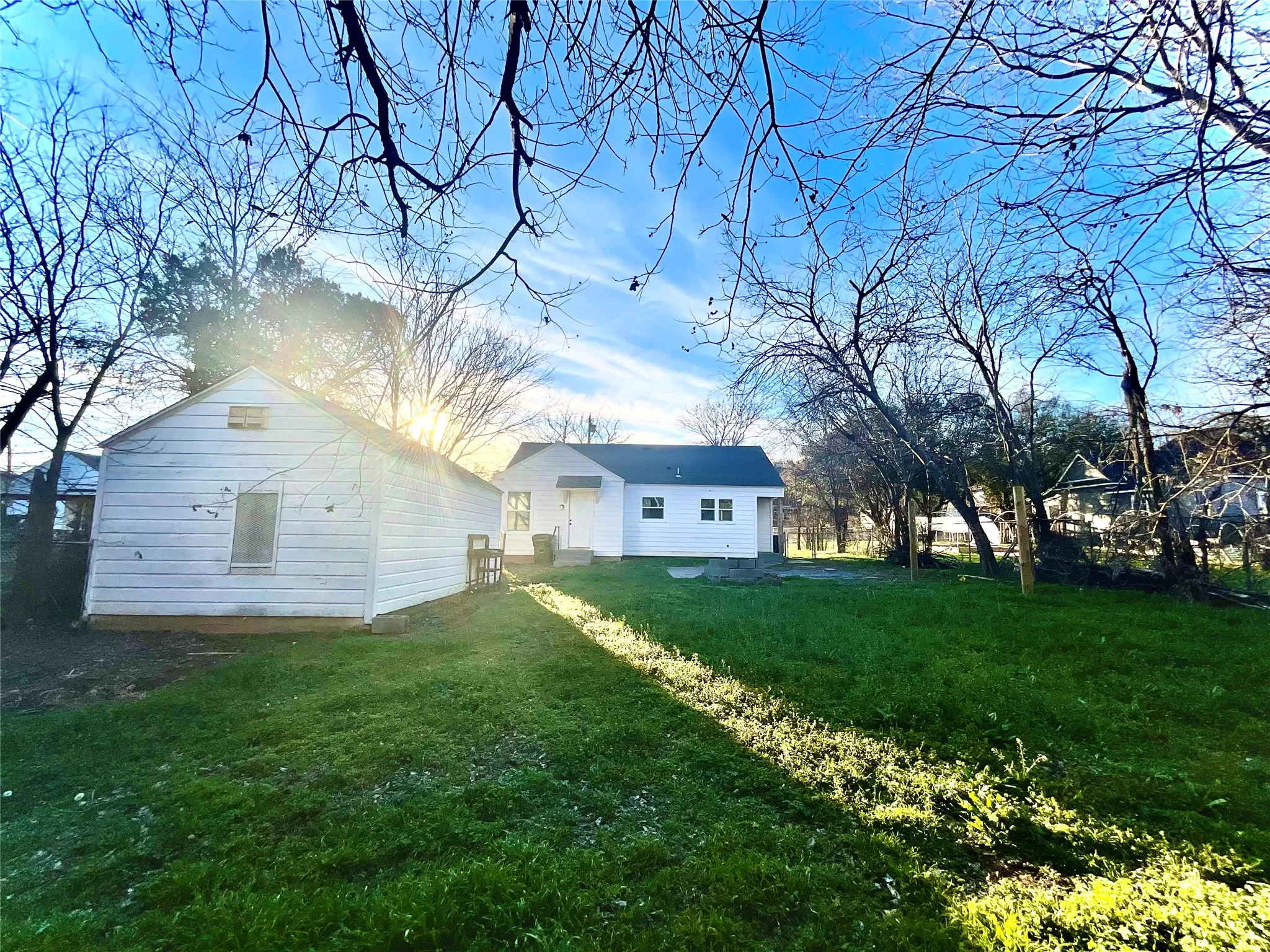Back yard