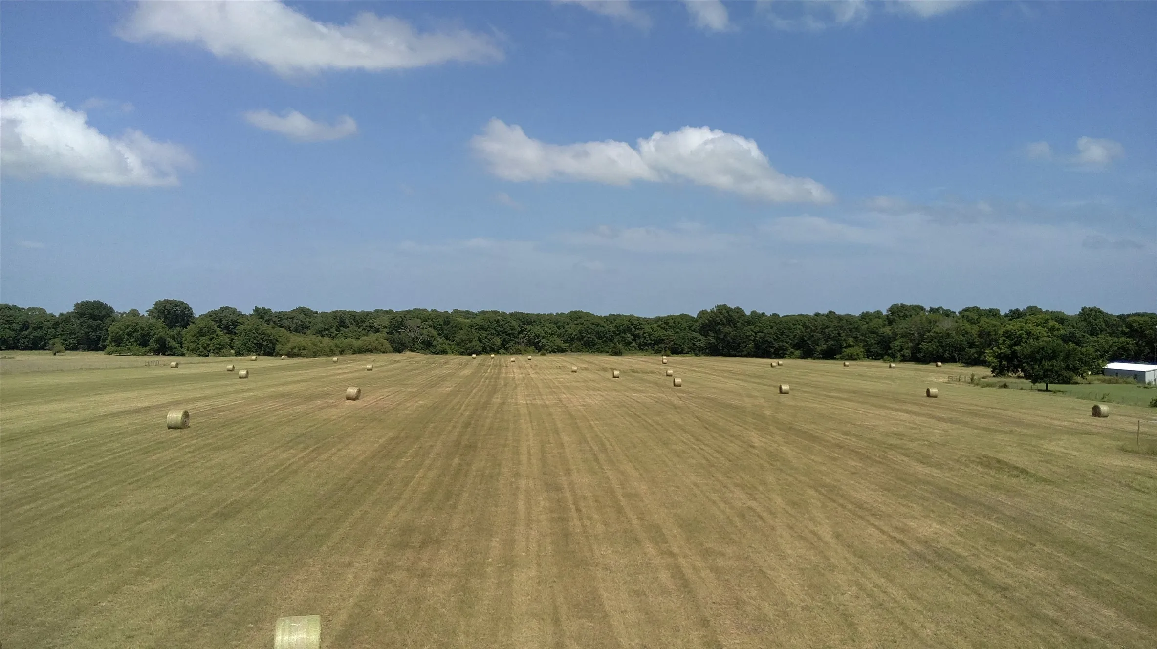 Unimproved Land For Sale in Grayson County , TBD 700 Jay Road, Van Alstyne, Texas 75495, 0, 0, Garage spaces, 0 Sqft, built in 0, mls#21181002, Real Estate Agent in Van Alstyne, Homes For Sale in Grayson county, Homes For Sale in Van Alstyne, Realtor in Van Alstyne Texas, Real Estate Brokerage Independent Realty Texas, Luminita Cordes Realtor