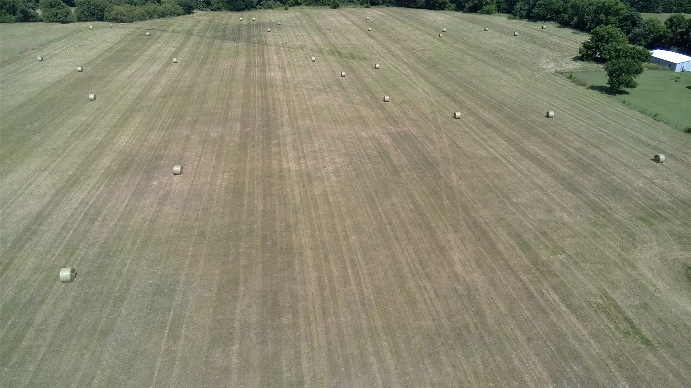 Unimproved Land For Sale in Grayson County , TBD 700 Jay Road, Van Alstyne, Texas 75495, 0, 0, Garage spaces, 0 Sqft, built in 0, mls#21181002, Real Estate Agent in Van Alstyne, Homes For Sale in Grayson county, Homes For Sale in Van Alstyne, Realtor in Van Alstyne Texas, Real Estate Brokerage Independent Realty Texas, Luminita Cordes Realtor