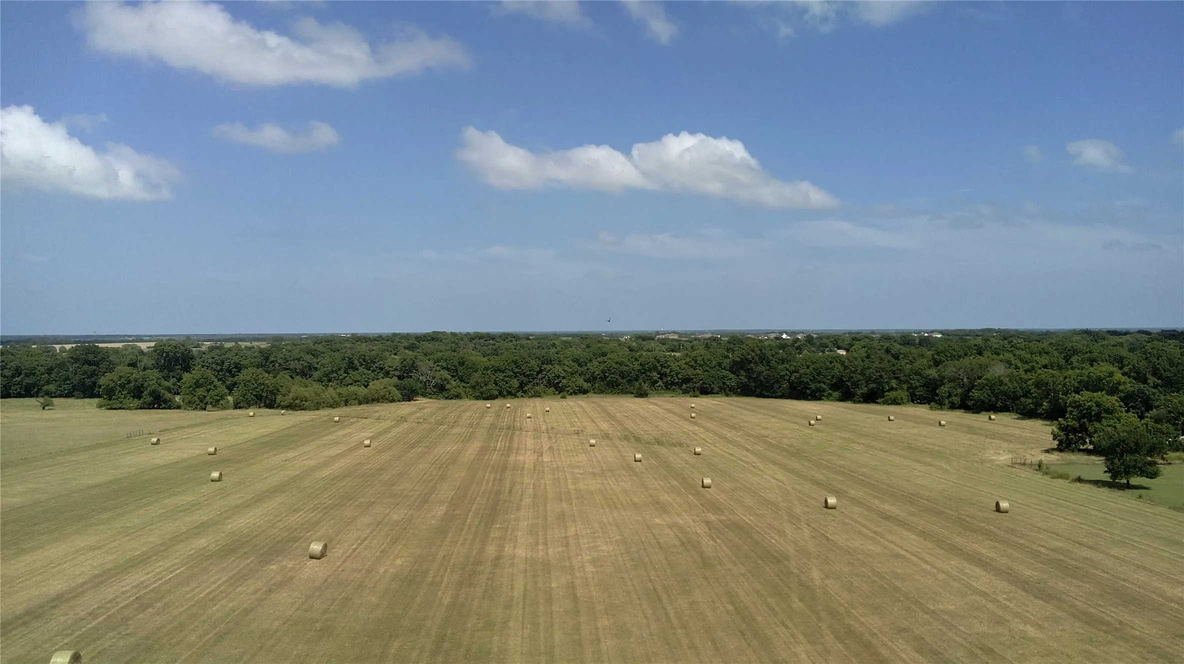 Unimproved Land For Sale in Grayson County , TBD 700 Jay Road, Van Alstyne, Texas 75495, 0, 0, Garage spaces, 0 Sqft, built in 0, mls#21181002, Real Estate Agent in Van Alstyne, Homes For Sale in Grayson county, Homes For Sale in Van Alstyne, Realtor in Van Alstyne Texas, Real Estate Brokerage Independent Realty Texas, Luminita Cordes Realtor