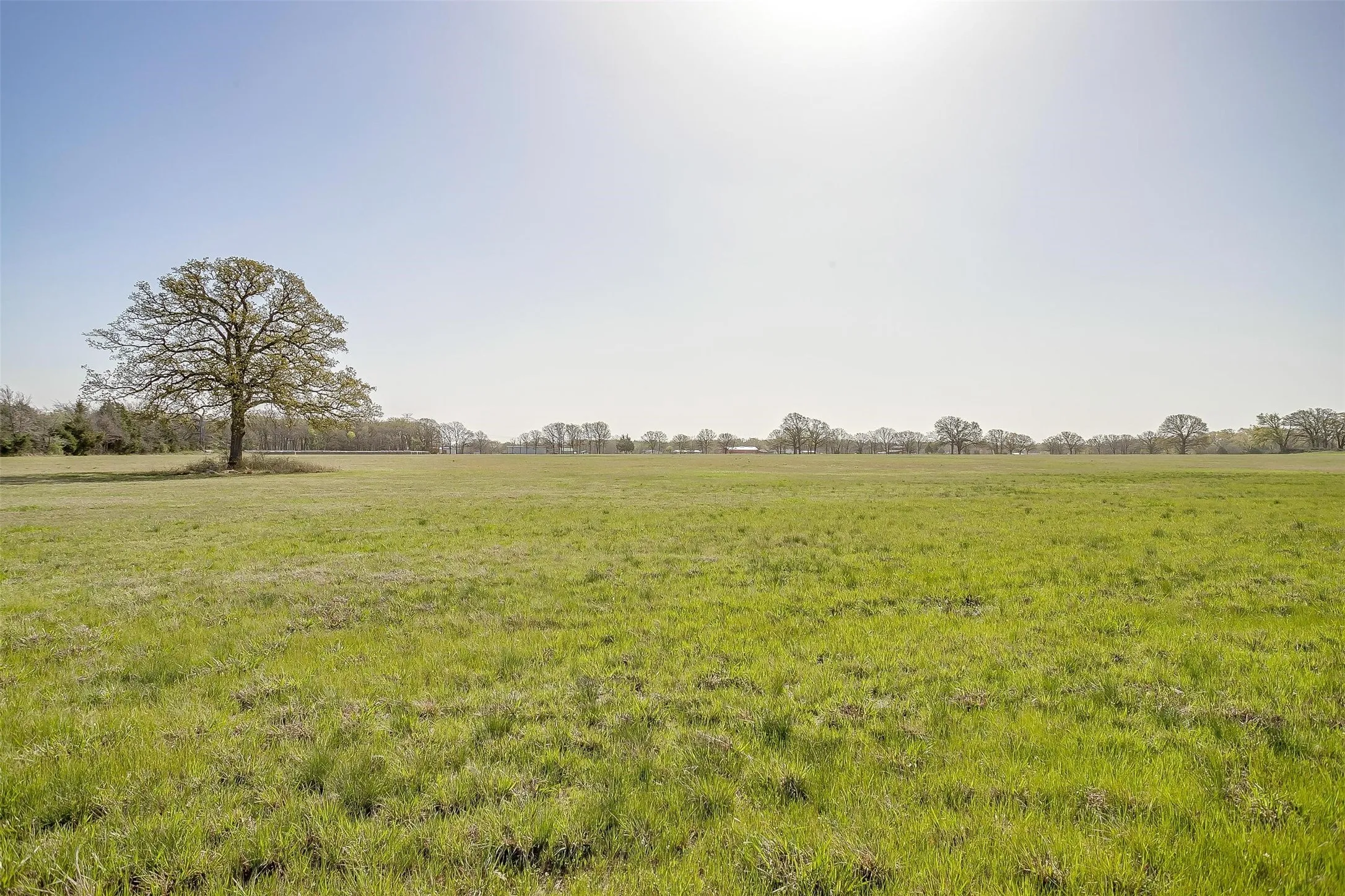Unimproved Land For Sale in Henderson County , 11833 Southview Drive, Kemp, Texas 75143, 0, 0, Garage spaces, 0 Sqft, built in 2016, Price $999,999, mls#21181184, Real Estate Agent in Kemp, Homes For Sale in Henderson county, Homes For Sale in Kemp, Realtor in Kemp Texas, Real Estate Brokerage Independent Realty Texas, Luminita Cordes Realtor