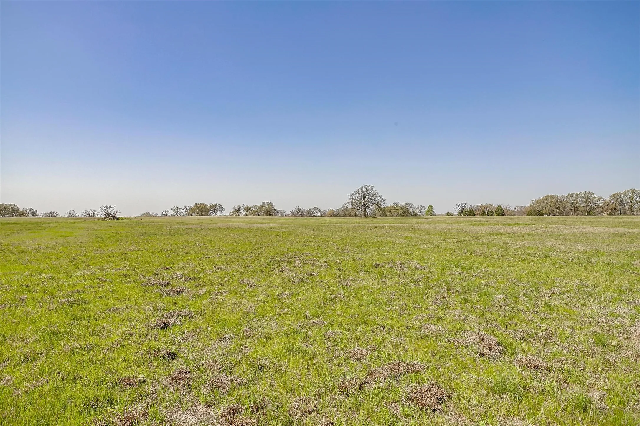 Unimproved Land For Sale in Henderson County , 11833 Southview Drive, Kemp, Texas 75143, 0, 0, Garage spaces, 0 Sqft, built in 2016, Price $999,999, mls#21181184, Real Estate Agent in Kemp, Homes For Sale in Henderson county, Homes For Sale in Kemp, Realtor in Kemp Texas, Real Estate Brokerage Independent Realty Texas, Luminita Cordes Realtor