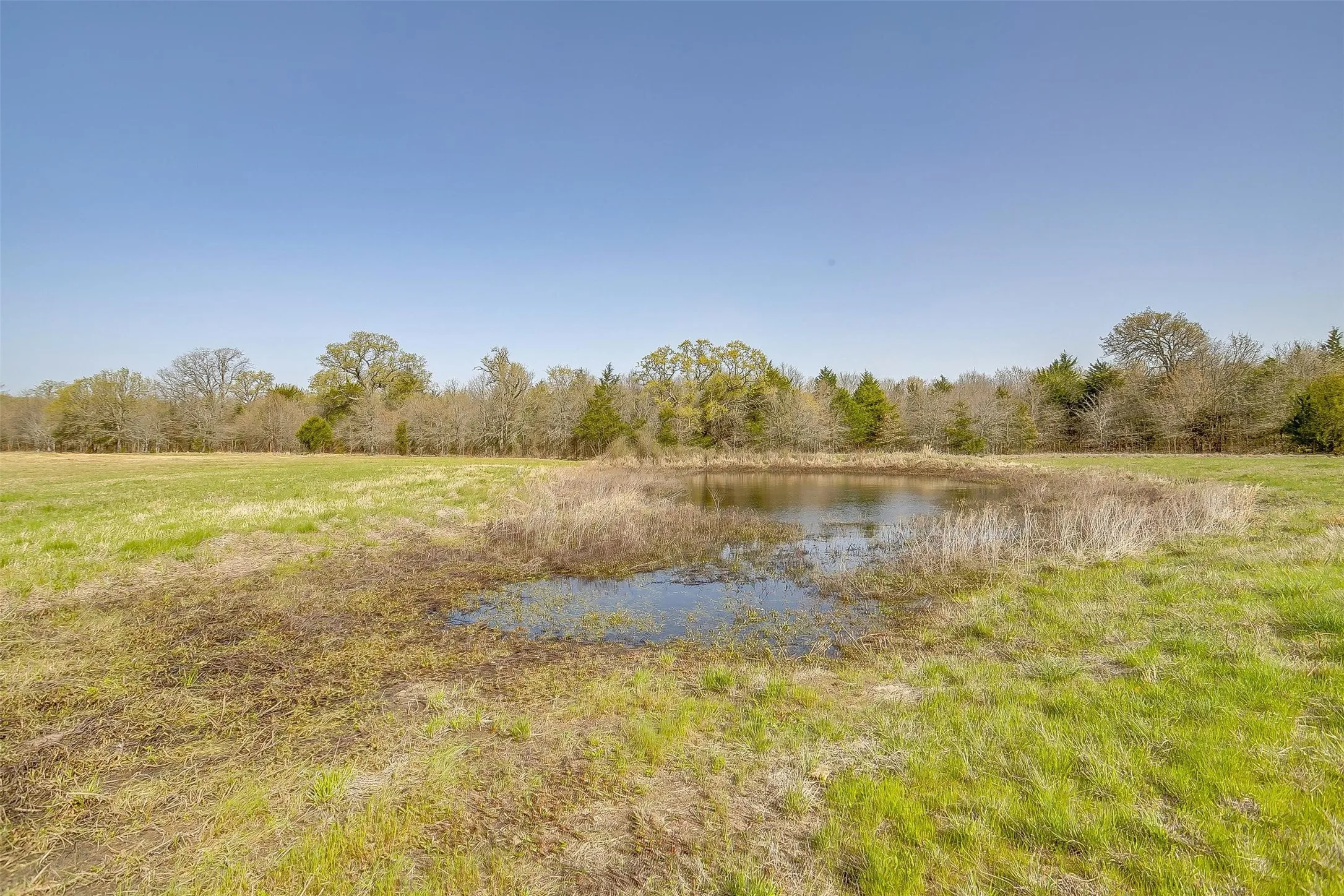 Unimproved Land For Sale in Henderson County , 11833 Southview Drive, Kemp, Texas 75143, 0, 0, Garage spaces, 0 Sqft, built in 2016, Price $999,999, mls#21181184, Real Estate Agent in Kemp, Homes For Sale in Henderson county, Homes For Sale in Kemp, Realtor in Kemp Texas, Real Estate Brokerage Independent Realty Texas, Luminita Cordes Realtor