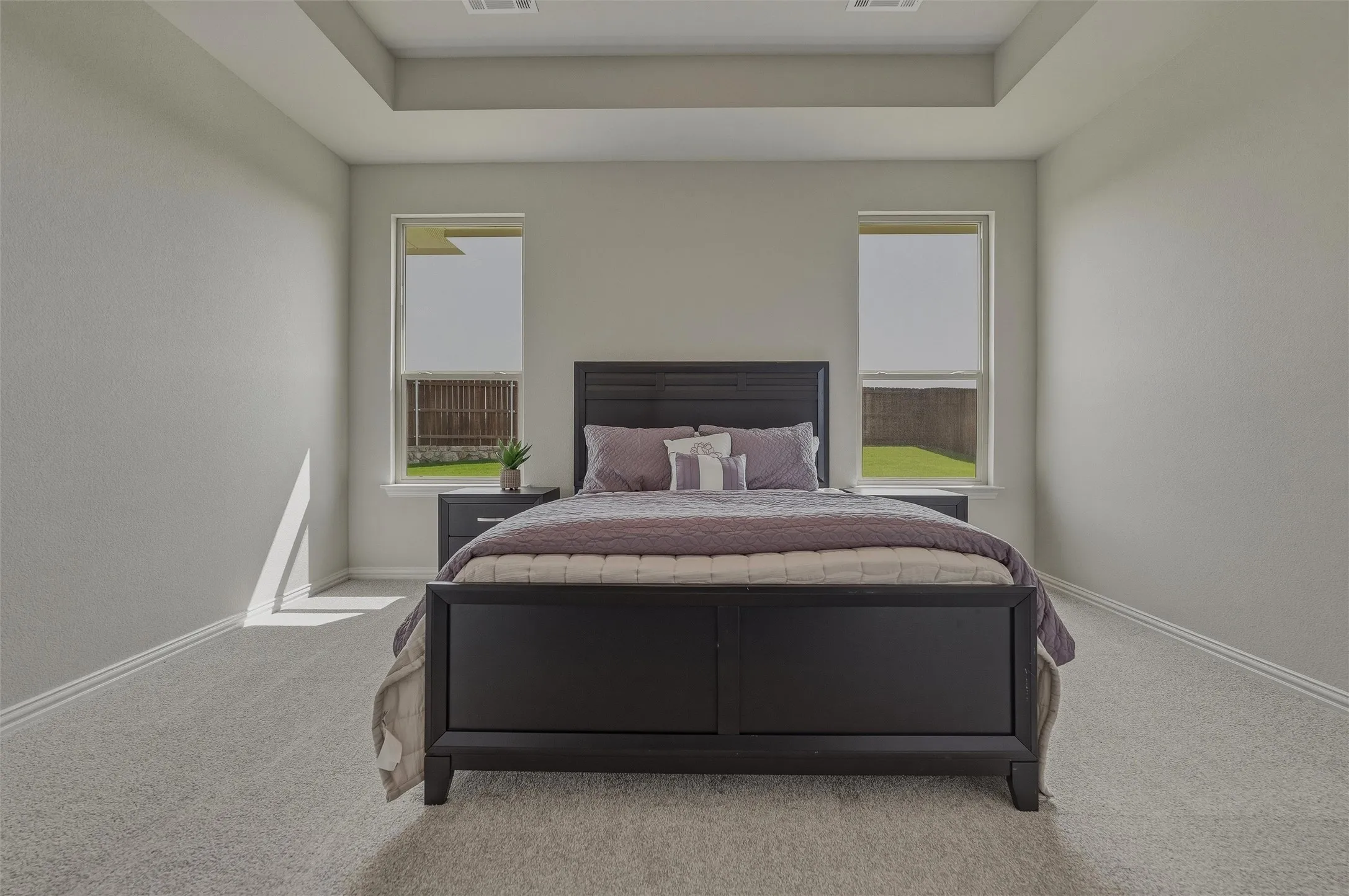 Tray ceiling, recessed lighting, double windows, neutral wall tones, and light-toned carpeting