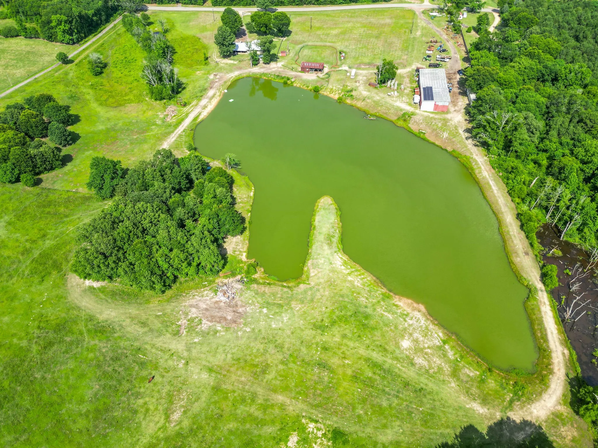 Farm For Sale in Cass County , 2711 Fm 250 N, Hughes Springs, Texas 75656, 3 Bedrooms, 2 Bathrooms, Garage spaces, 2,760 Sqft, built in 1965, Price $550,000, mls#21181331, Real Estate Agent in Hughes Springs, Homes For Sale in Cass county, Homes For Sale in Hughes Springs, Realtor in Hughes Springs Texas, Real Estate Brokerage Independent Realty Texas, Luminita Cordes Realtor