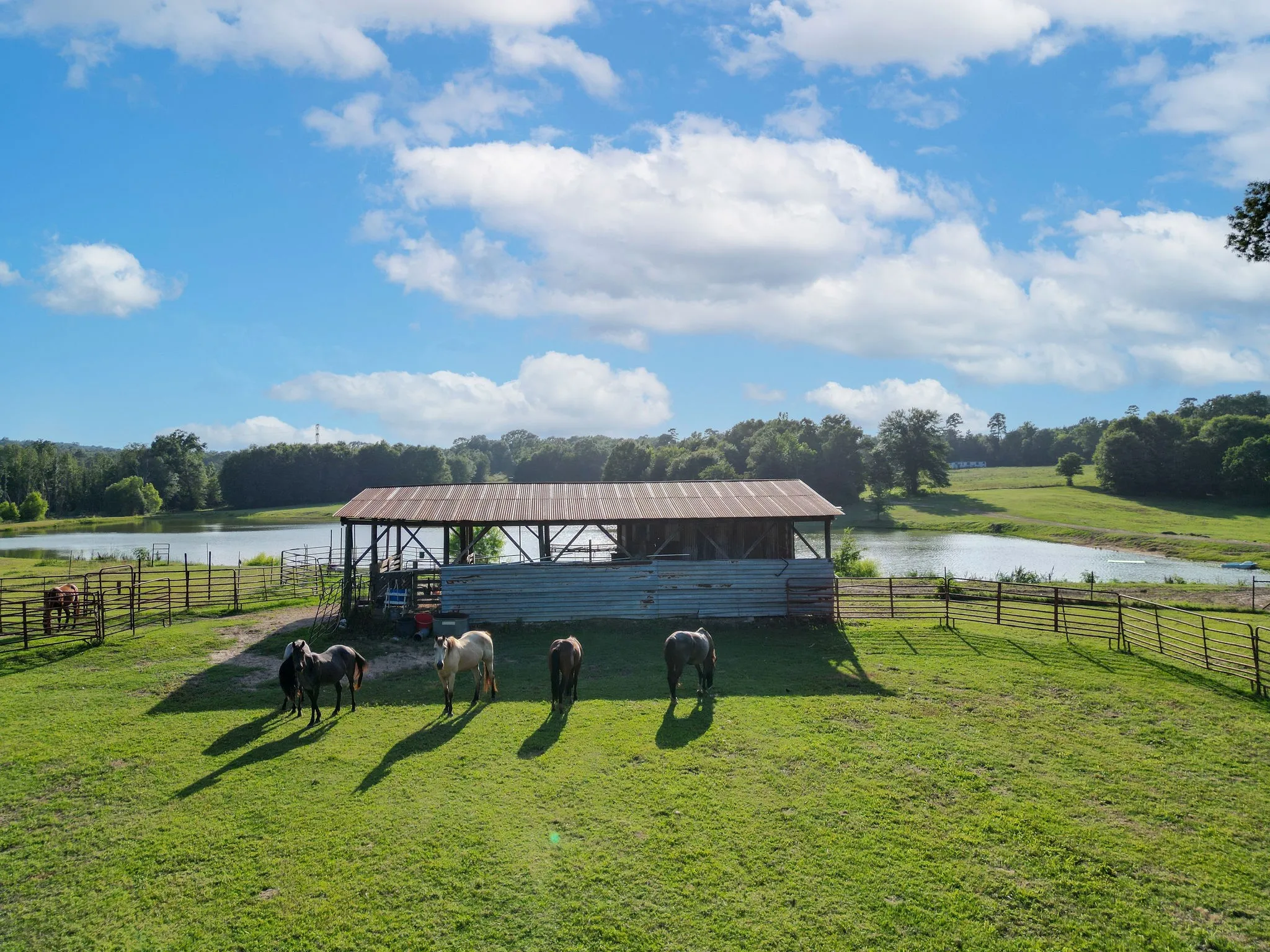 Farm For Sale in Cass County , 2711 Fm 250 N, Hughes Springs, Texas 75656, 3 Bedrooms, 2 Bathrooms, Garage spaces, 2,760 Sqft, built in 1965, Price $550,000, mls#21181331, Real Estate Agent in Hughes Springs, Homes For Sale in Cass county, Homes For Sale in Hughes Springs, Realtor in Hughes Springs Texas, Real Estate Brokerage Independent Realty Texas, Luminita Cordes Realtor