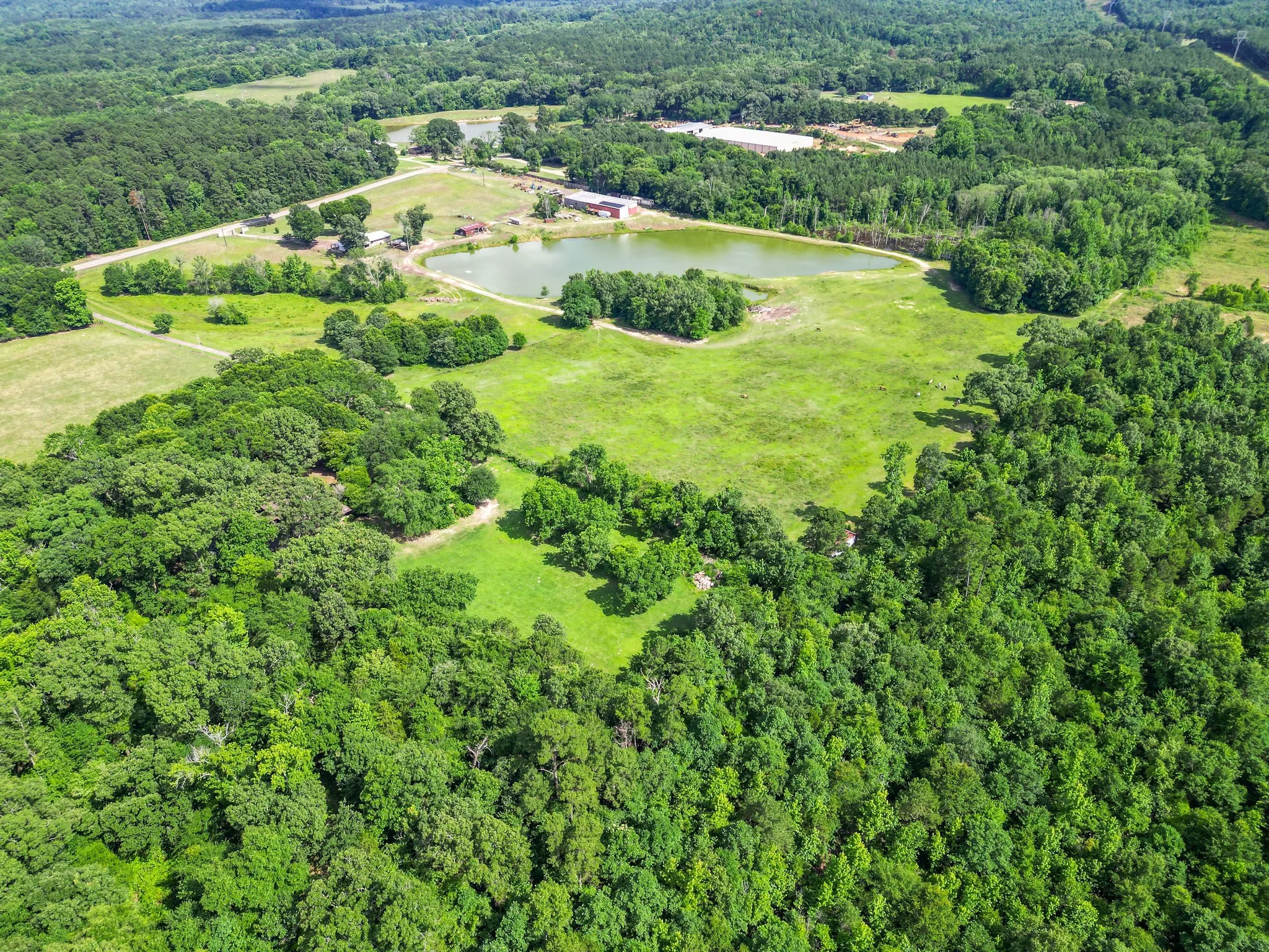 Farm For Sale in Cass County , 2711 Fm 250 N, Hughes Springs, Texas 75656, 3 Bedrooms, 2 Bathrooms, Garage spaces, 2,760 Sqft, built in 1965, Price $550,000, mls#21181331, Real Estate Agent in Hughes Springs, Homes For Sale in Cass county, Homes For Sale in Hughes Springs, Realtor in Hughes Springs Texas, Real Estate Brokerage Independent Realty Texas, Luminita Cordes Realtor