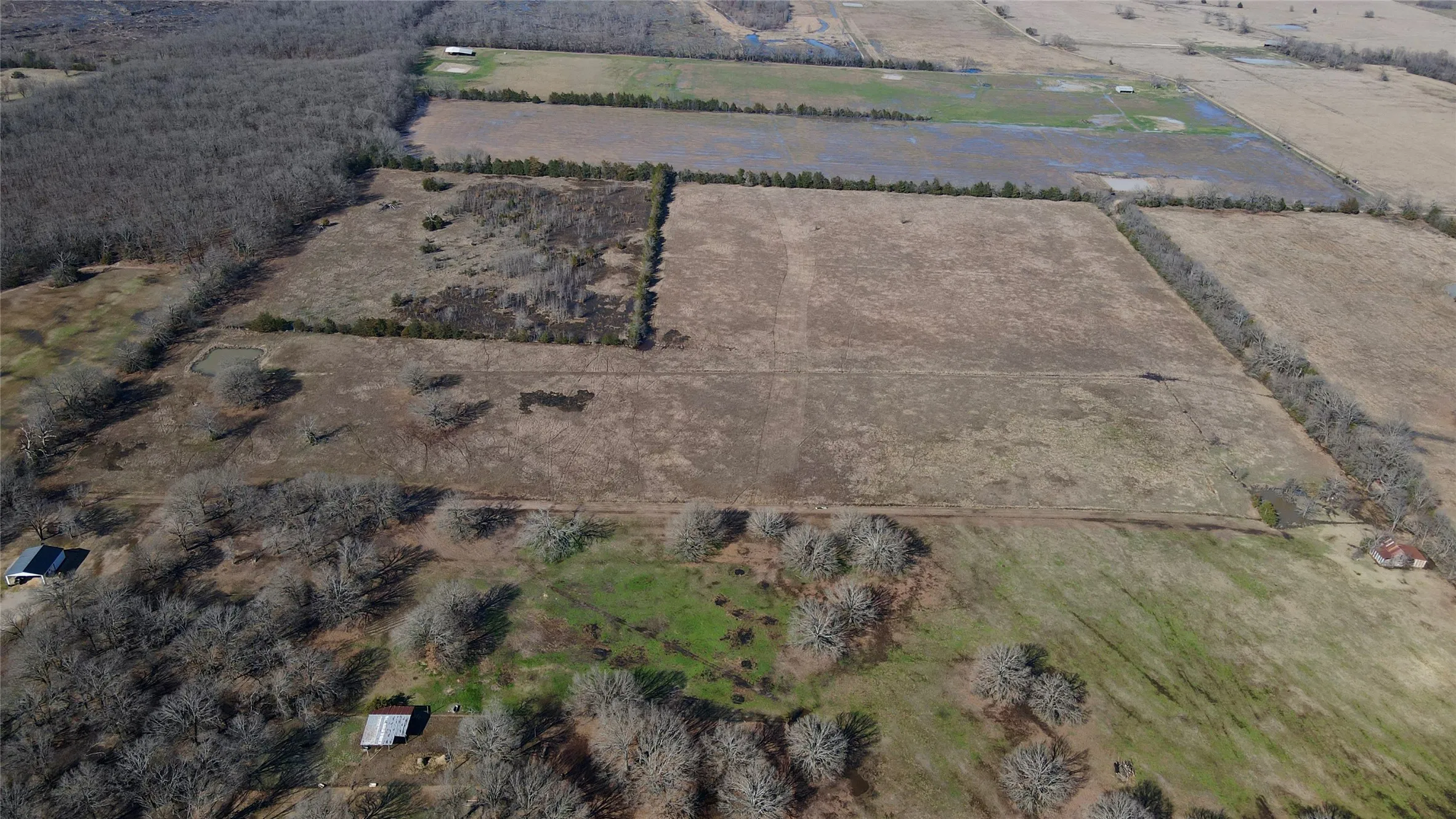 Unimproved Land For Sale in Lamar County , TBD County Road 15600, Paris, Texas 75462, 0, 0, Garage spaces, 0 Sqft, built in 0, Price $350,000, mls#21179514, Real Estate Agent in Paris, Homes For Sale in Lamar county, Homes For Sale in Paris, Realtor in Paris Texas, Real Estate Brokerage Independent Realty Texas, Luminita Cordes Realtor