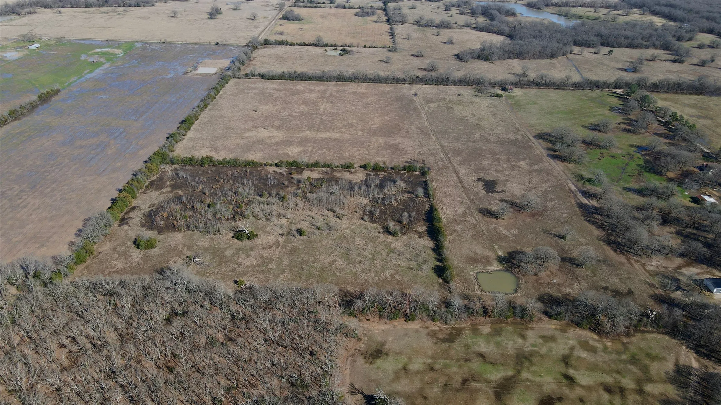 Unimproved Land For Sale in Lamar County , TBD County Road 15600, Paris, Texas 75462, 0, 0, Garage spaces, 0 Sqft, built in 0, Price $350,000, mls#21179514, Real Estate Agent in Paris, Homes For Sale in Lamar county, Homes For Sale in Paris, Realtor in Paris Texas, Real Estate Brokerage Independent Realty Texas, Luminita Cordes Realtor