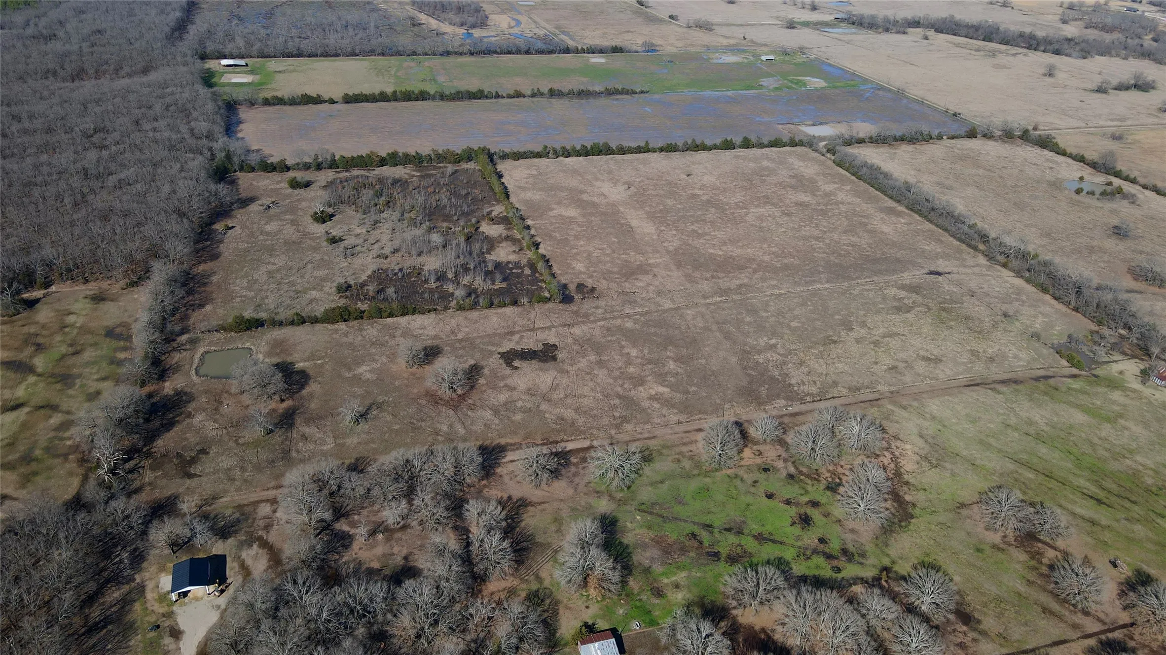 Unimproved Land For Sale in Lamar County , TBD County Road 15600, Paris, Texas 75462, 0, 0, Garage spaces, 0 Sqft, built in 0, Price $350,000, mls#21179514, Real Estate Agent in Paris, Homes For Sale in Lamar county, Homes For Sale in Paris, Realtor in Paris Texas, Real Estate Brokerage Independent Realty Texas, Luminita Cordes Realtor