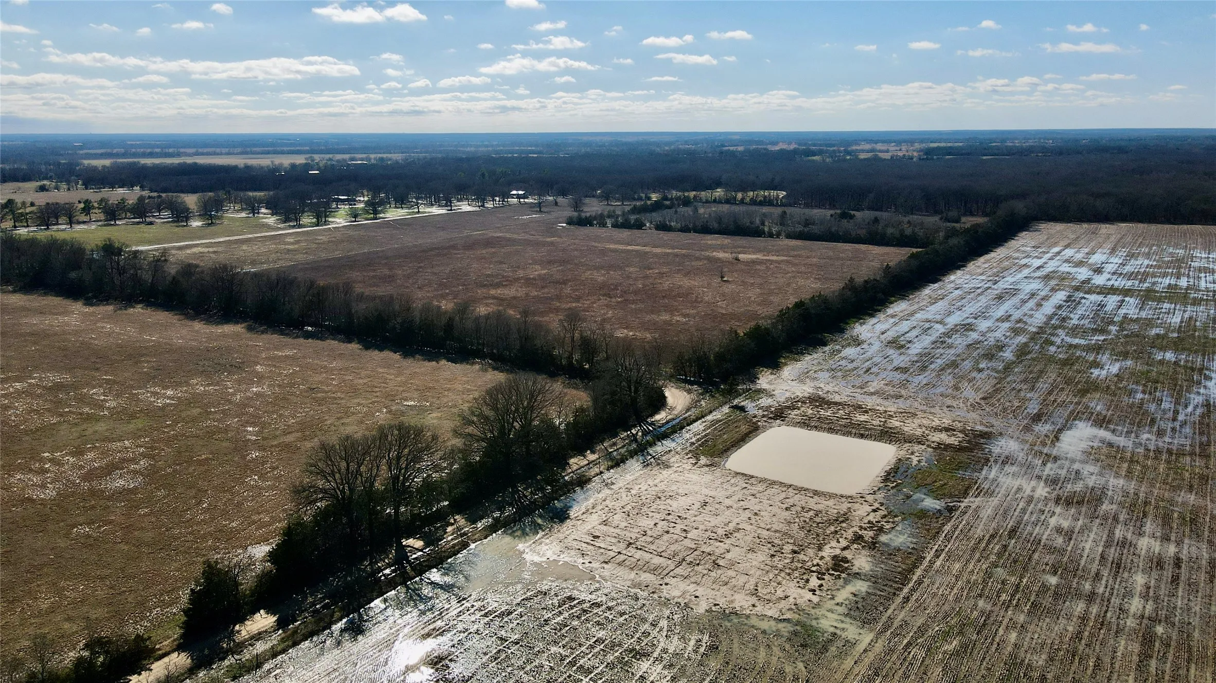 Unimproved Land For Sale in Lamar County , TBD County Road 15600, Paris, Texas 75462, 0, 0, Garage spaces, 0 Sqft, built in 0, Price $350,000, mls#21179514, Real Estate Agent in Paris, Homes For Sale in Lamar county, Homes For Sale in Paris, Realtor in Paris Texas, Real Estate Brokerage Independent Realty Texas, Luminita Cordes Realtor
