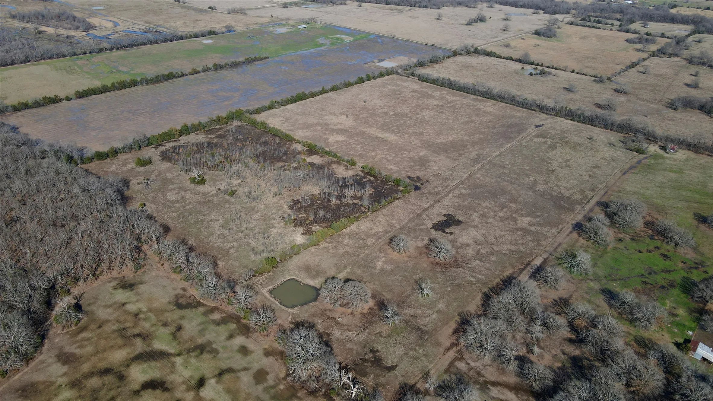 Unimproved Land For Sale in Lamar County , TBD County Road 15600, Paris, Texas 75462, 0, 0, Garage spaces, 0 Sqft, built in 0, Price $350,000, mls#21179514, Real Estate Agent in Paris, Homes For Sale in Lamar county, Homes For Sale in Paris, Realtor in Paris Texas, Real Estate Brokerage Independent Realty Texas, Luminita Cordes Realtor
