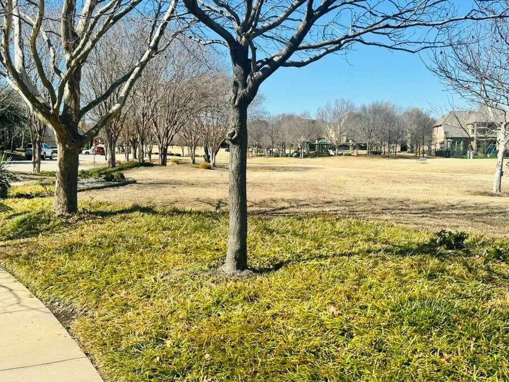 Green area in the community