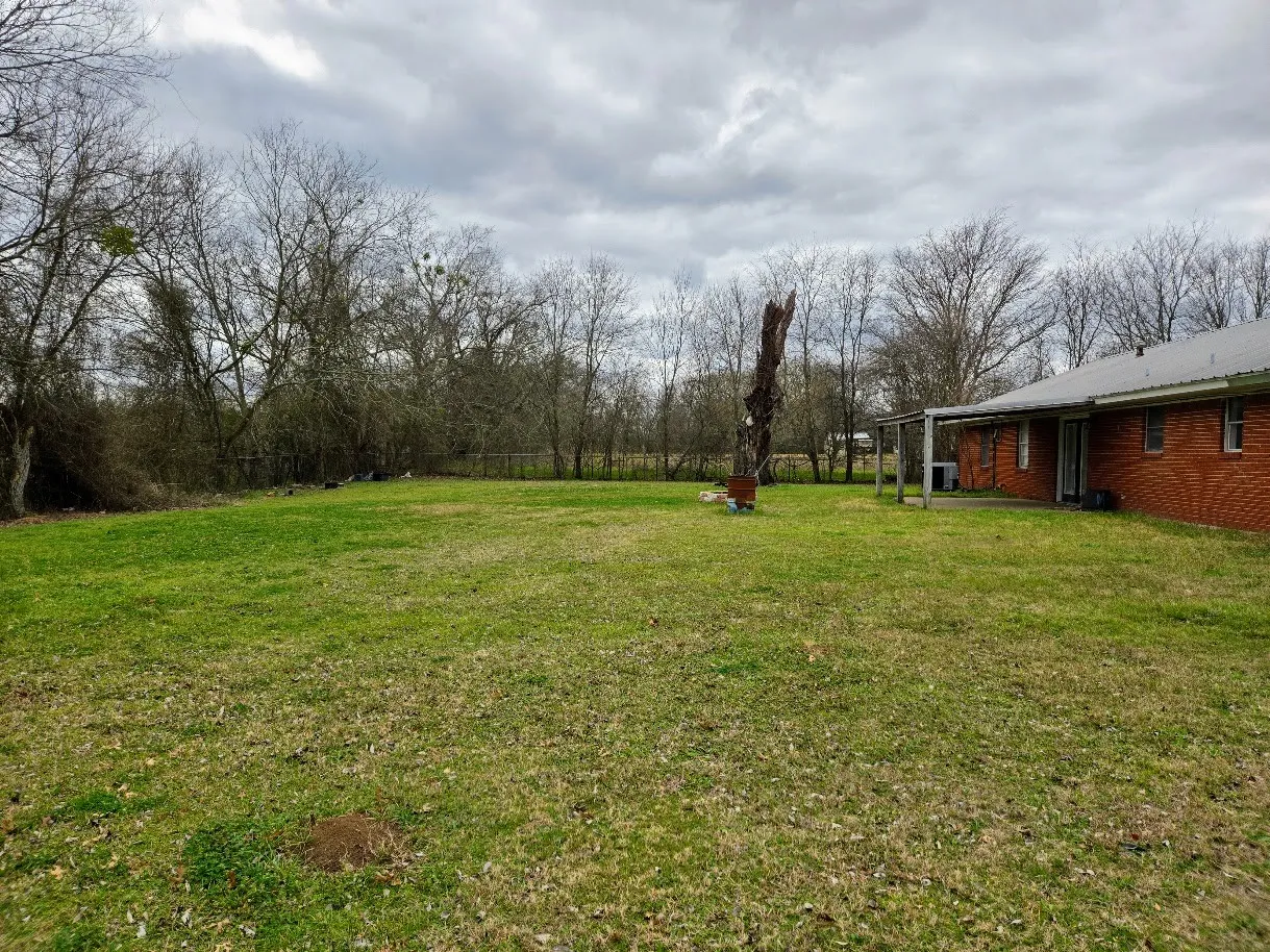 View of green lawn