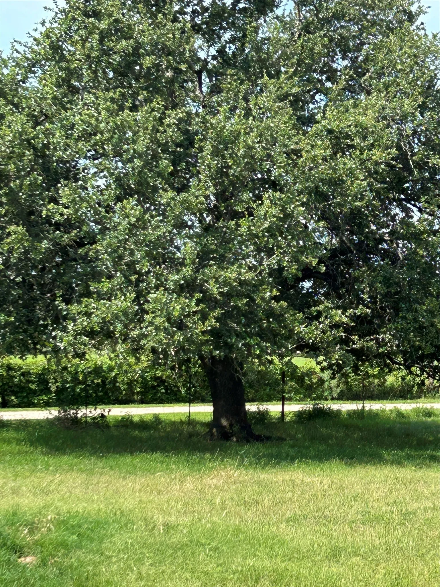 Farm For Sale in Hamilton County , 1340 N US Hwy 281, Hamilton, Texas 76531, 3 Bedroom, 2 Bathroom, 2 Garage spaces, 1,891 Sqft, built in 2002, mls#21179407, Real Estate Agent in Hamilton, Homes For Sale in Hamilton county, Homes For Sale in Hamilton, Realtor in Hamilton Texas, Real Estate Brokerage Independent Realty Texas, Luminita Cordes Realtor