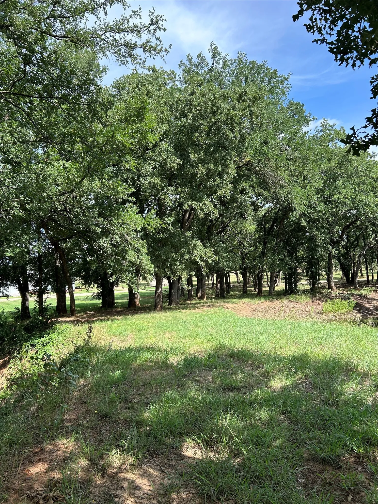 Farm For Sale in Hamilton County , 1340 N US Hwy 281, Hamilton, Texas 76531, 3 Bedroom, 2 Bathroom, 2 Garage spaces, 1,891 Sqft, built in 2002, mls#21179407, Real Estate Agent in Hamilton, Homes For Sale in Hamilton county, Homes For Sale in Hamilton, Realtor in Hamilton Texas, Real Estate Brokerage Independent Realty Texas, Luminita Cordes Realtor