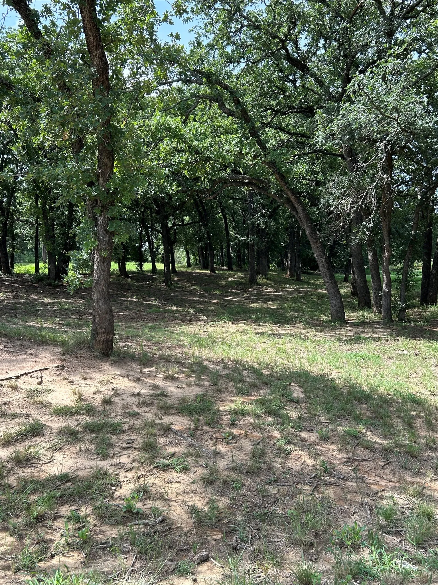 Farm For Sale in Hamilton County , 1340 N US Hwy 281, Hamilton, Texas 76531, 3 Bedroom, 2 Bathroom, 2 Garage spaces, 1,891 Sqft, built in 2002, mls#21179407, Real Estate Agent in Hamilton, Homes For Sale in Hamilton county, Homes For Sale in Hamilton, Realtor in Hamilton Texas, Real Estate Brokerage Independent Realty Texas, Luminita Cordes Realtor