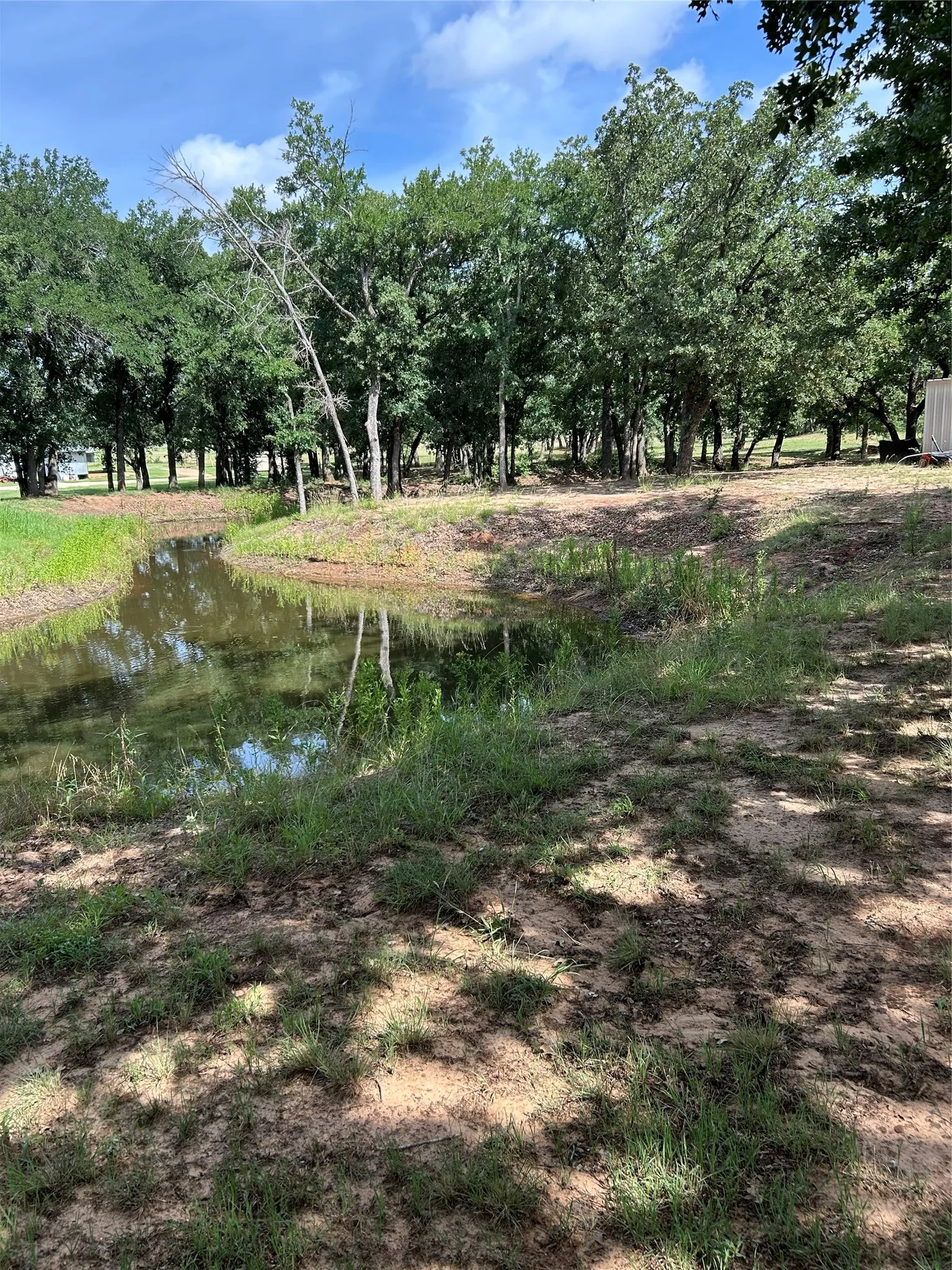 Farm For Sale in Hamilton County , 1340 N US Hwy 281, Hamilton, Texas 76531, 3 Bedroom, 2 Bathroom, 2 Garage spaces, 1,891 Sqft, built in 2002, mls#21179407, Real Estate Agent in Hamilton, Homes For Sale in Hamilton county, Homes For Sale in Hamilton, Realtor in Hamilton Texas, Real Estate Brokerage Independent Realty Texas, Luminita Cordes Realtor