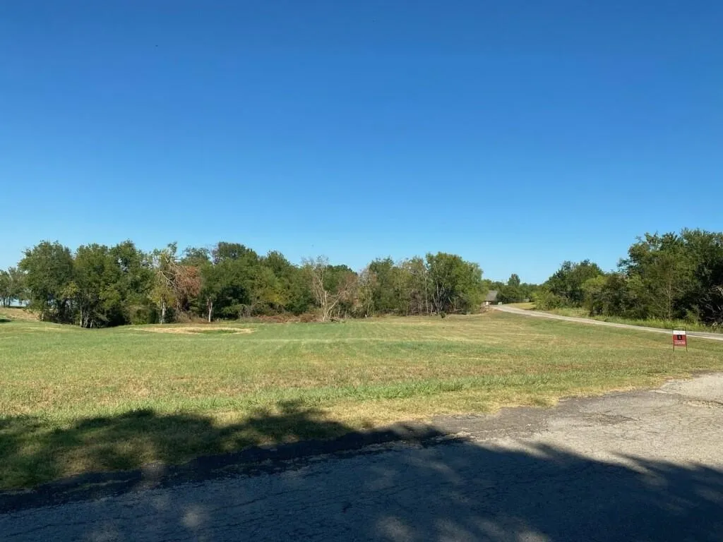 Unimproved Land For Sale in Navarro County , Lot 47 SE CR 3121, Corsicana, Texas 75109, 0, 0, Garage spaces, 0 Sqft, built in 0, Price $36,500, mls#21178953, Real Estate Agent in Corsicana, Homes For Sale in Navarro county, Homes For Sale in Corsicana, Realtor in Corsicana Texas, Real Estate Brokerage Independent Realty Texas, Luminita Cordes Realtor