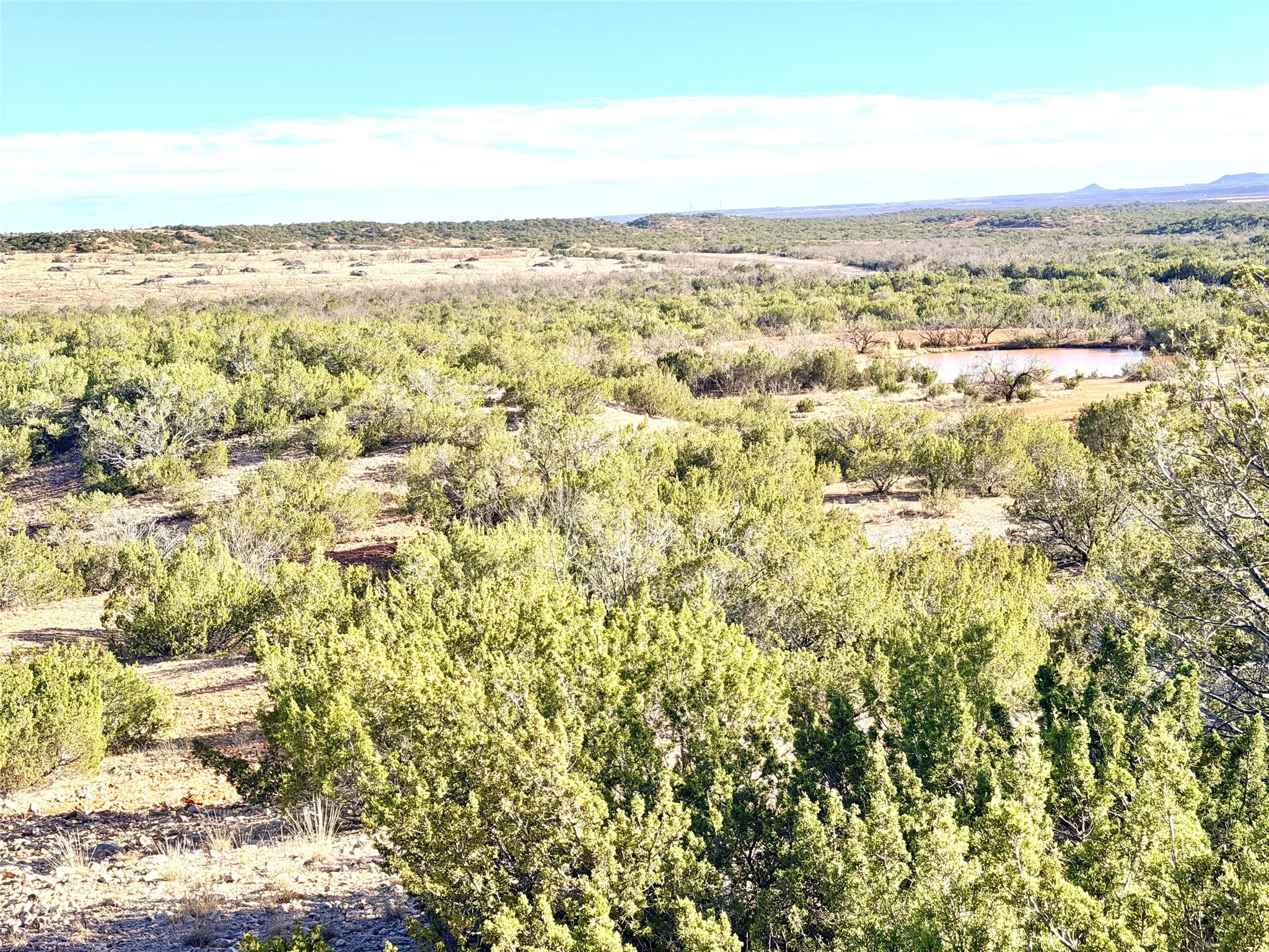 Ranch For Sale in Coke County , 5530 Hwy 158, Robert Lee, Texas 76945, 0, 0, Garage spaces, 0 Sqft, built in 0, Price $816,000, mls#21180951, Real Estate Agent in Robert Lee, Homes For Sale in Coke county, Homes For Sale in Robert Lee, Realtor in Robert Lee Texas, Real Estate Brokerage Independent Realty Texas, Luminita Cordes Realtor