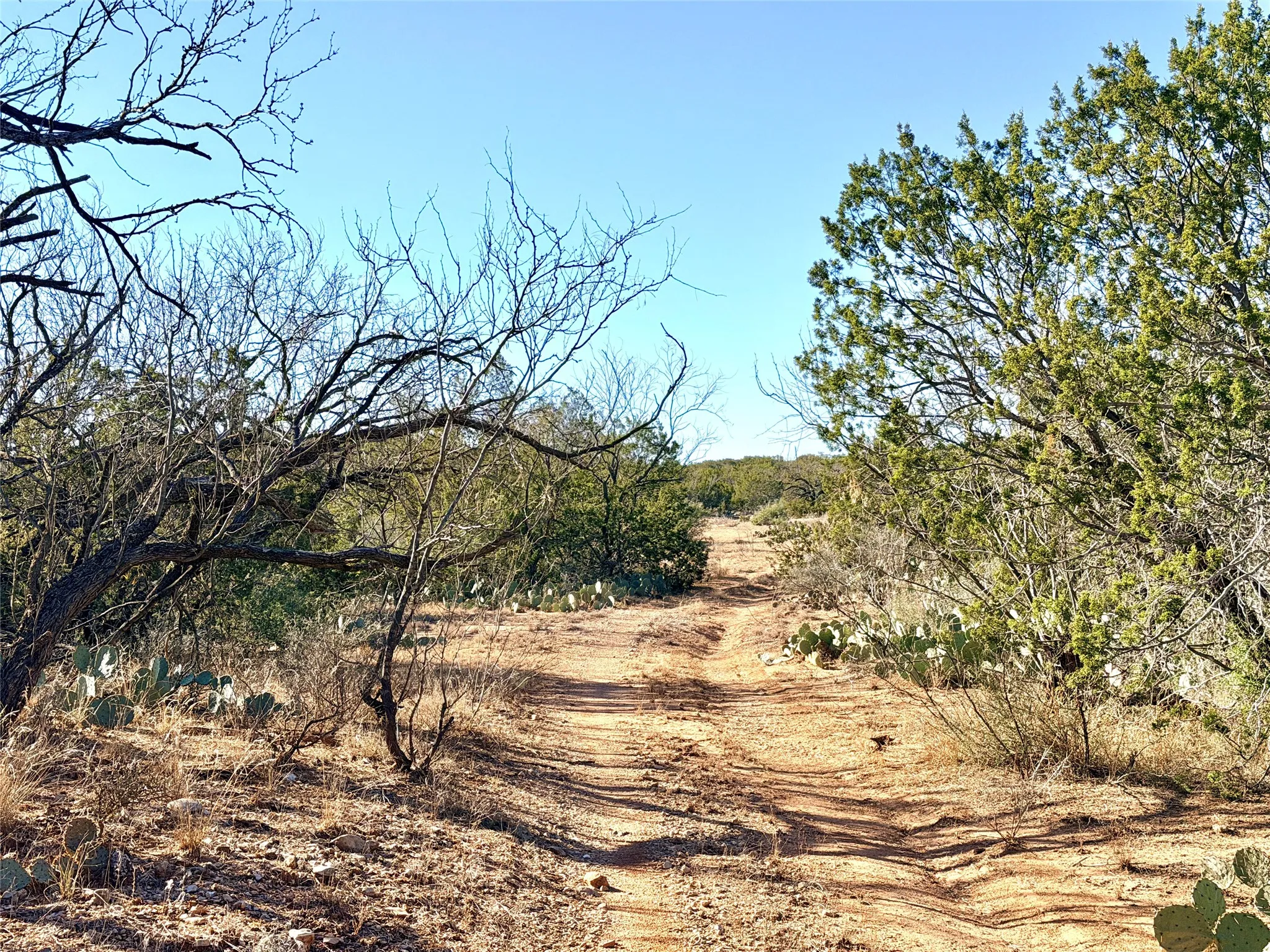 Ranch For Sale in Coke County , 5530 Hwy 158, Robert Lee, Texas 76945, 0, 0, Garage spaces, 0 Sqft, built in 0, Price $816,000, mls#21180951, Real Estate Agent in Robert Lee, Homes For Sale in Coke county, Homes For Sale in Robert Lee, Realtor in Robert Lee Texas, Real Estate Brokerage Independent Realty Texas, Luminita Cordes Realtor