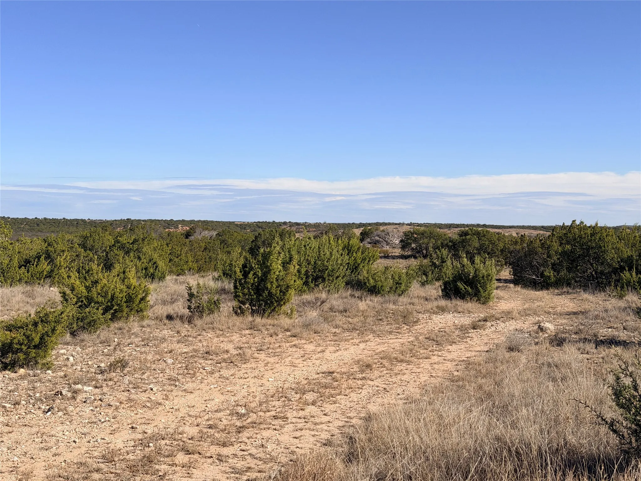 Ranch For Sale in Coke County , 5530 Hwy 158, Robert Lee, Texas 76945, 0, 0, Garage spaces, 0 Sqft, built in 0, Price $816,000, mls#21180951, Real Estate Agent in Robert Lee, Homes For Sale in Coke county, Homes For Sale in Robert Lee, Realtor in Robert Lee Texas, Real Estate Brokerage Independent Realty Texas, Luminita Cordes Realtor