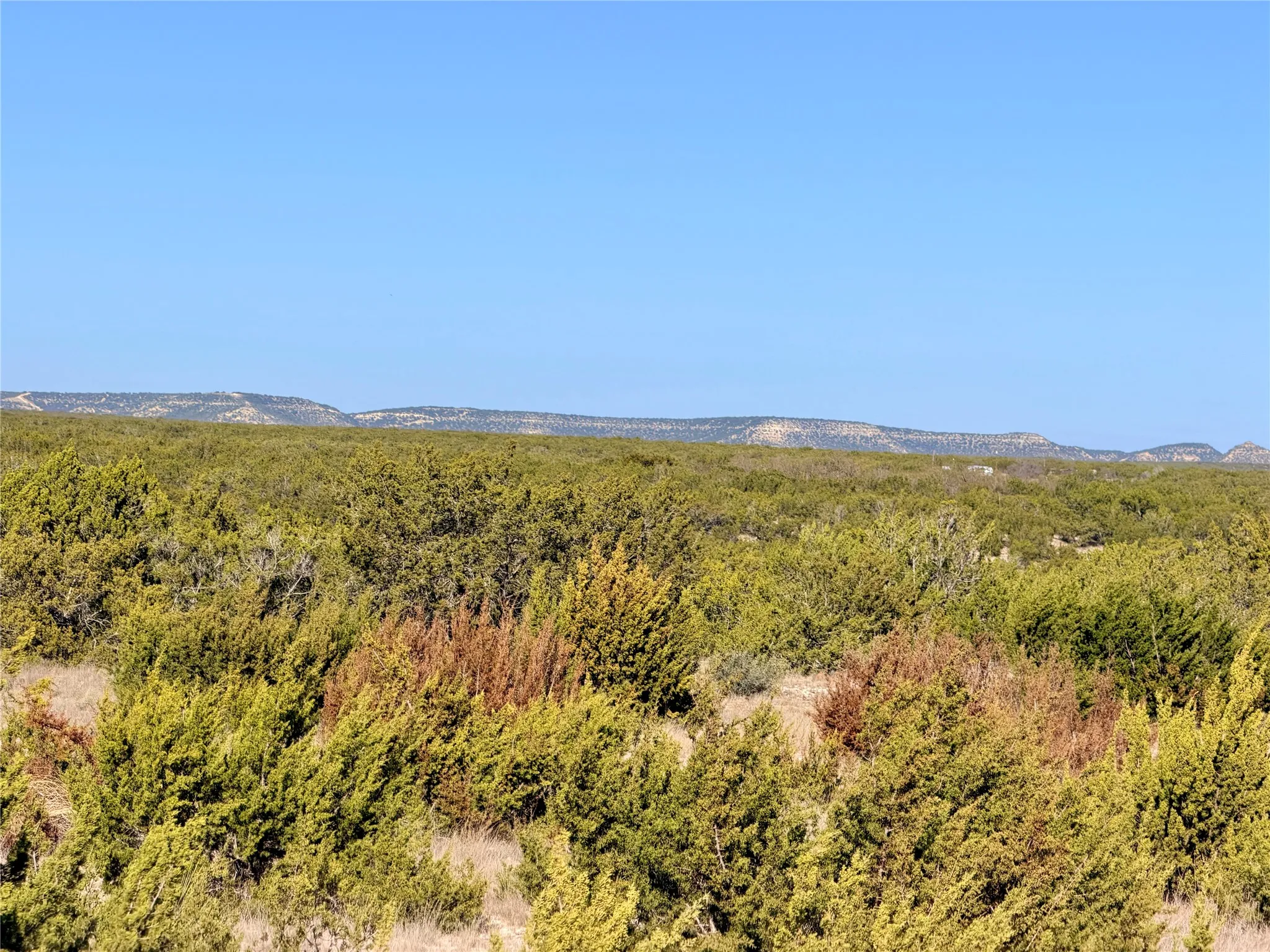 Ranch For Sale in Coke County , 5530 Hwy 158, Robert Lee, Texas 76945, 0, 0, Garage spaces, 0 Sqft, built in 0, Price $816,000, mls#21180951, Real Estate Agent in Robert Lee, Homes For Sale in Coke county, Homes For Sale in Robert Lee, Realtor in Robert Lee Texas, Real Estate Brokerage Independent Realty Texas, Luminita Cordes Realtor