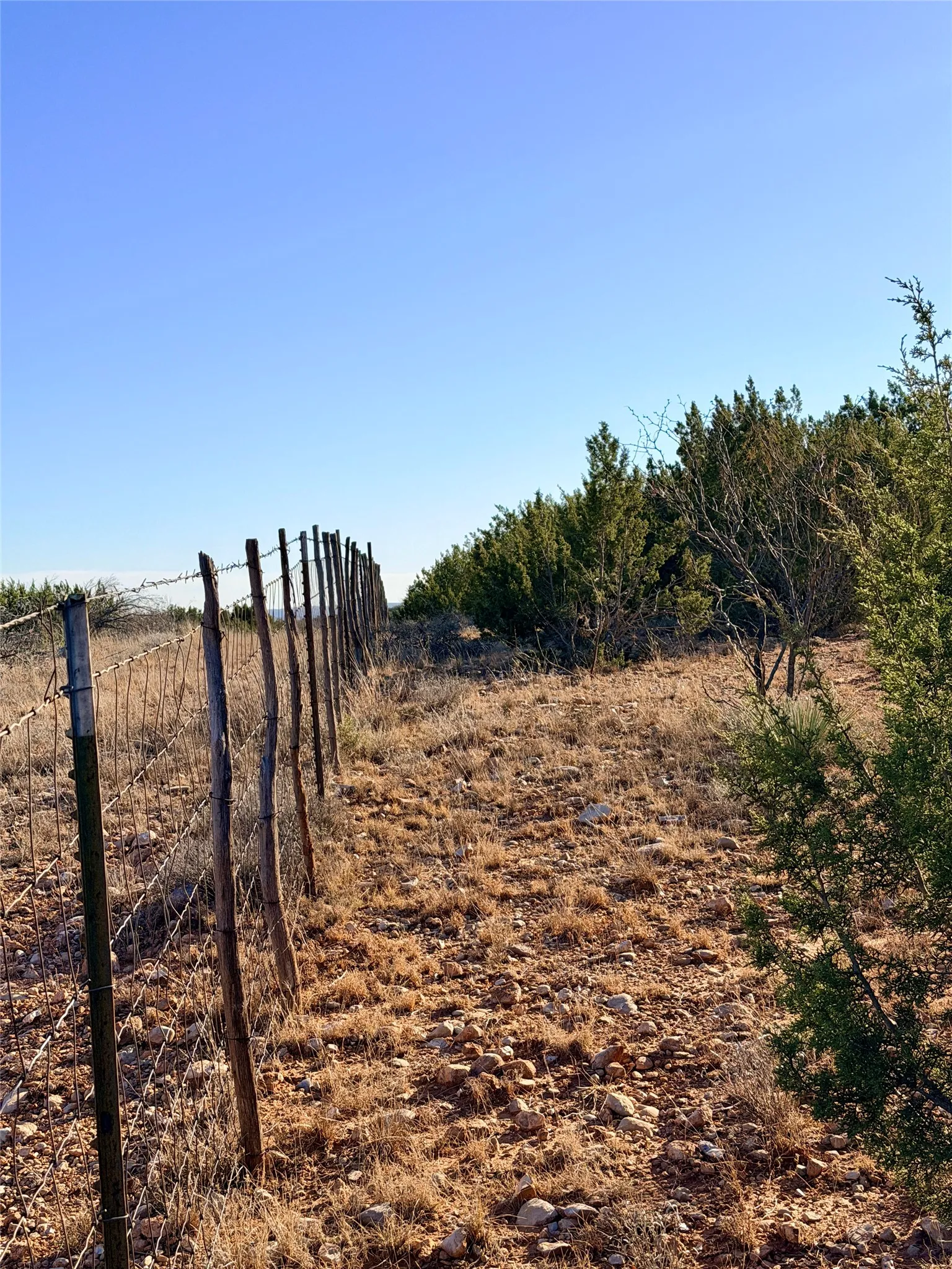 Ranch For Sale in Coke County , 5530 Hwy 158, Robert Lee, Texas 76945, 0, 0, Garage spaces, 0 Sqft, built in 0, Price $816,000, mls#21180951, Real Estate Agent in Robert Lee, Homes For Sale in Coke county, Homes For Sale in Robert Lee, Realtor in Robert Lee Texas, Real Estate Brokerage Independent Realty Texas, Luminita Cordes Realtor