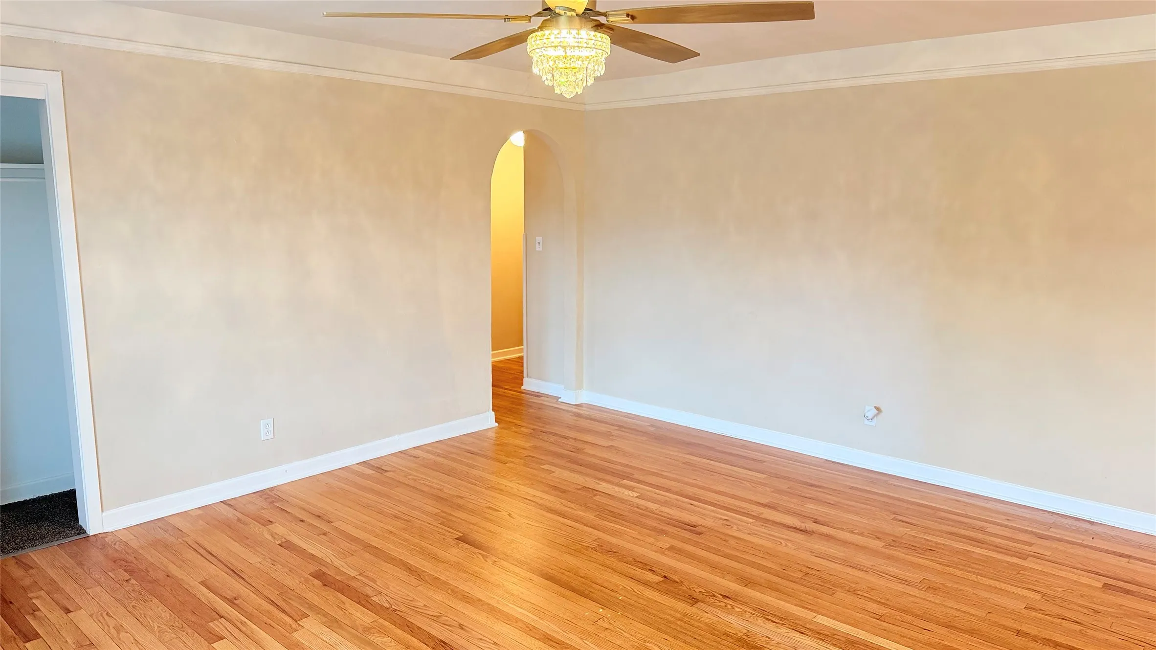 Hardwood flooring extending throughout, complemented by crisp white baseboards and crown molding