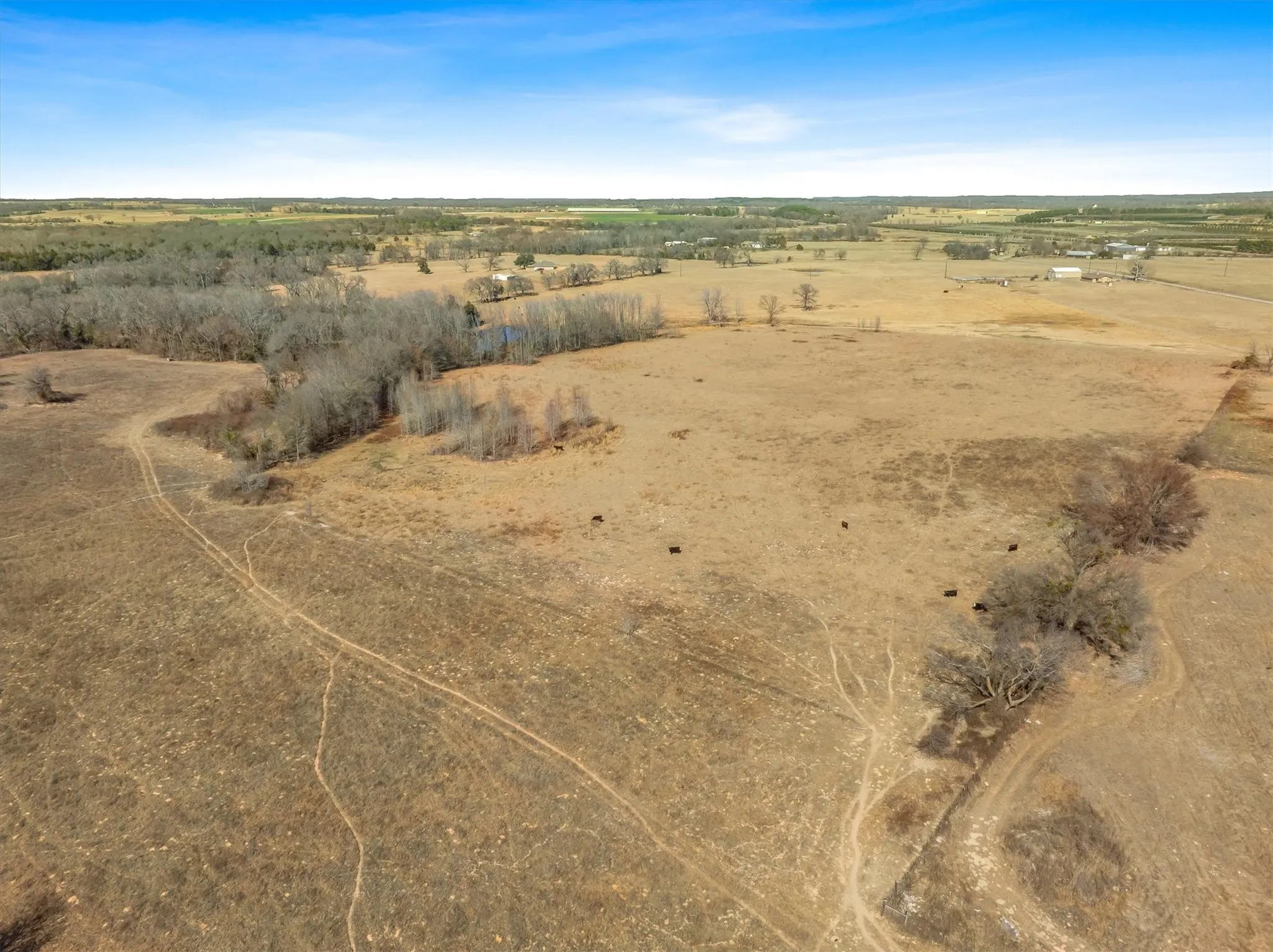Unimproved Land For Sale in Van Zandt County , TBD VZ County Road 2317 Tract 6, Canton, Texas 75103, 0, 0, Garage spaces, 0 Sqft, built in 0, mls#21182007, Real Estate Agent in Canton, Homes For Sale in Van Zandt county, Homes For Sale in Canton, Realtor in Canton Texas, Real Estate Brokerage Independent Realty Texas, Luminita Cordes Realtor
