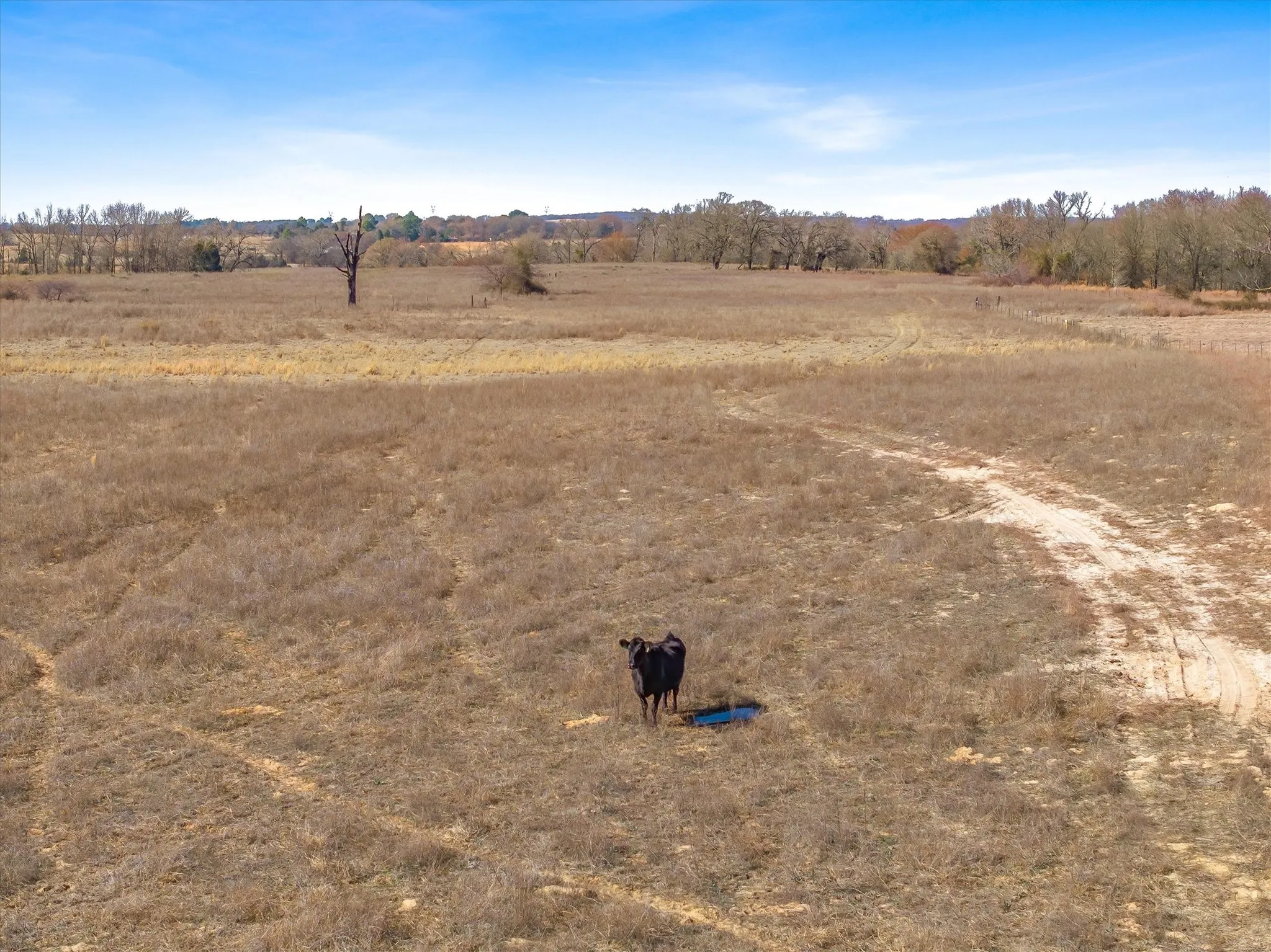 Unimproved Land For Sale in Van Zandt County , TBD VZ County Road 2317 Tract 6, Canton, Texas 75103, 0, 0, Garage spaces, 0 Sqft, built in 0, mls#21182007, Real Estate Agent in Canton, Homes For Sale in Van Zandt county, Homes For Sale in Canton, Realtor in Canton Texas, Real Estate Brokerage Independent Realty Texas, Luminita Cordes Realtor