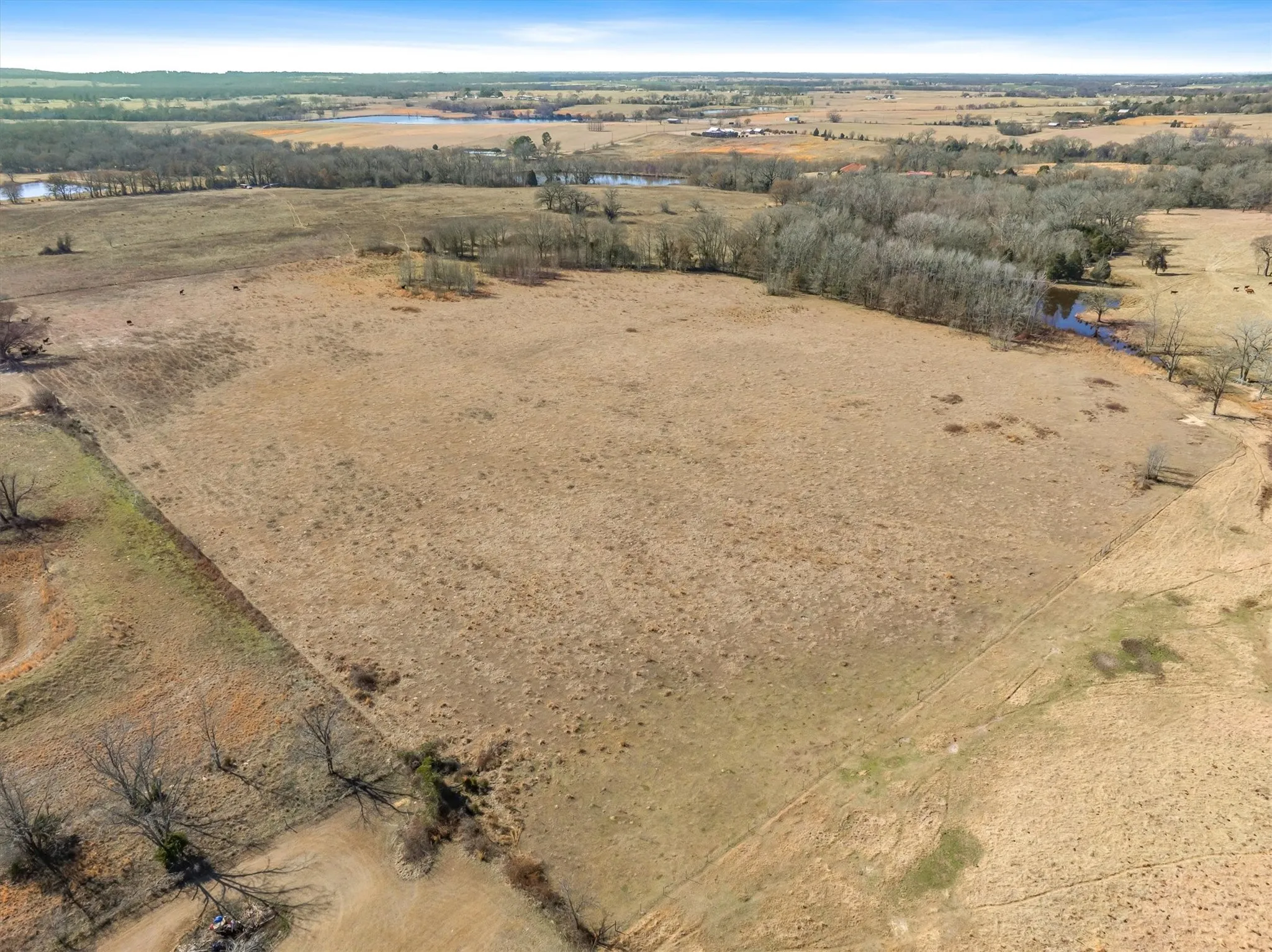 Unimproved Land For Sale in Van Zandt County , TBD VZ County Road 2317 Tract 6, Canton, Texas 75103, 0, 0, Garage spaces, 0 Sqft, built in 0, mls#21182007, Real Estate Agent in Canton, Homes For Sale in Van Zandt county, Homes For Sale in Canton, Realtor in Canton Texas, Real Estate Brokerage Independent Realty Texas, Luminita Cordes Realtor