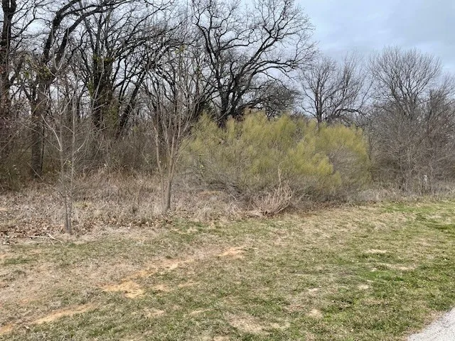 View of local wilderness
