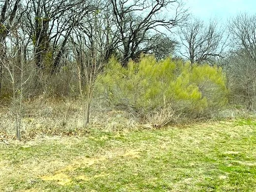 View of local wilderness