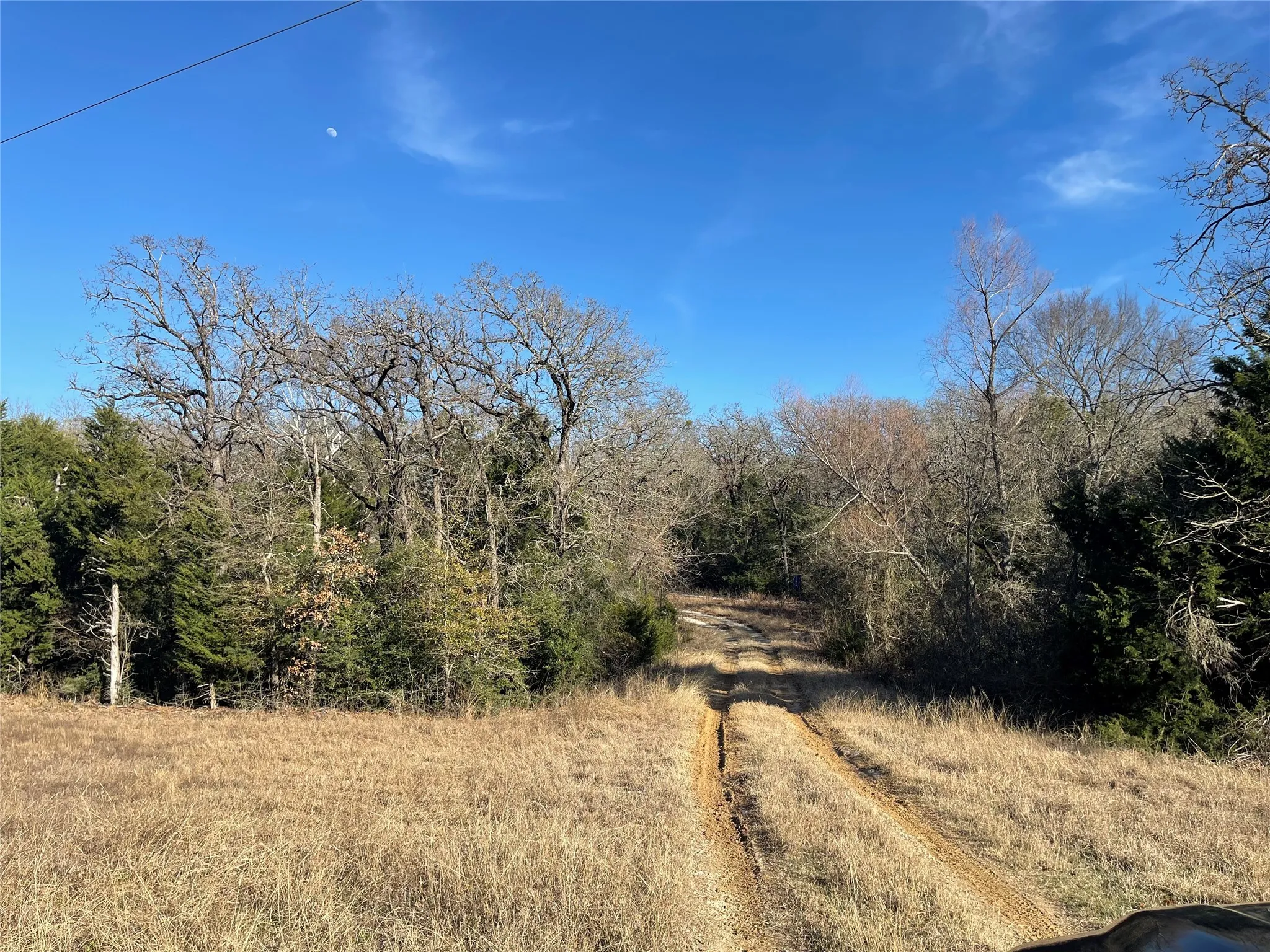 Unimproved Land For Sale in Freestone County , TBD FM 553, Teague, Texas 75860, 0, 0, Garage spaces, 0 Sqft, built in 0, Price $575,000, mls#21159103, Real Estate Agent in Teague, Homes For Sale in Freestone county, Homes For Sale in Teague, Realtor in Teague Texas, Real Estate Brokerage Independent Realty Texas, Luminita Cordes Realtor