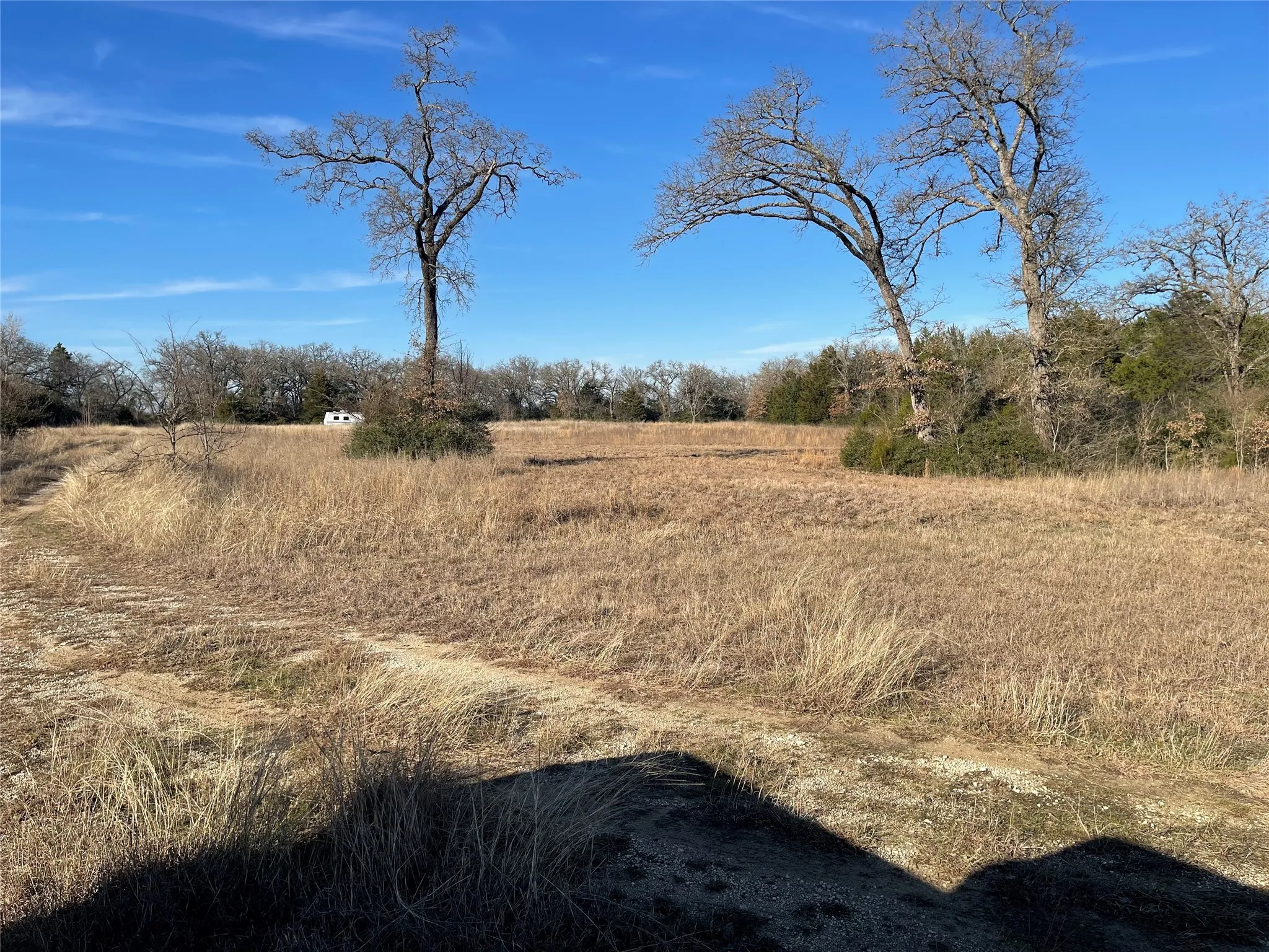 Unimproved Land For Sale in Freestone County , TBD FM 553, Teague, Texas 75860, 0, 0, Garage spaces, 0 Sqft, built in 0, Price $575,000, mls#21159103, Real Estate Agent in Teague, Homes For Sale in Freestone county, Homes For Sale in Teague, Realtor in Teague Texas, Real Estate Brokerage Independent Realty Texas, Luminita Cordes Realtor